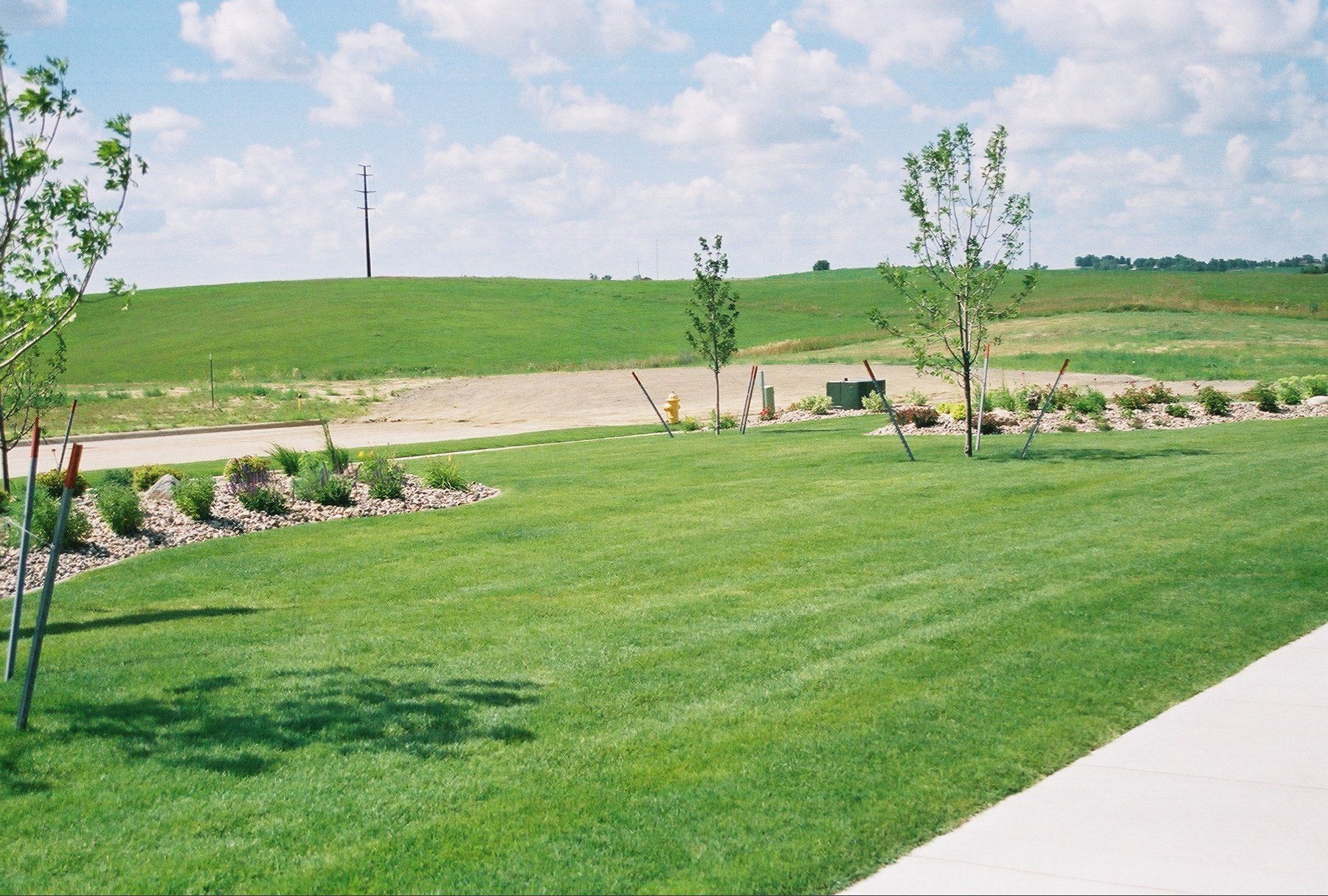 Green lawn with young trees beside a dirt path under a blue sky