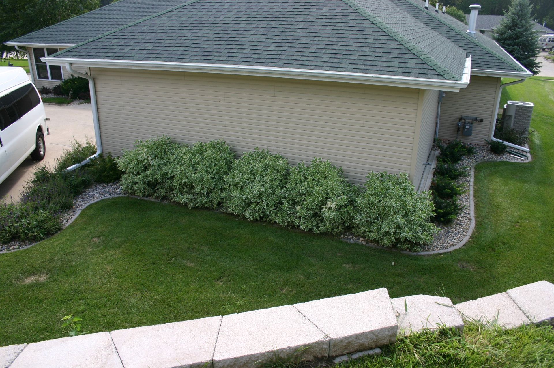Suburban house side yard with green lawn, shrubs, and a white walkway near the driveway