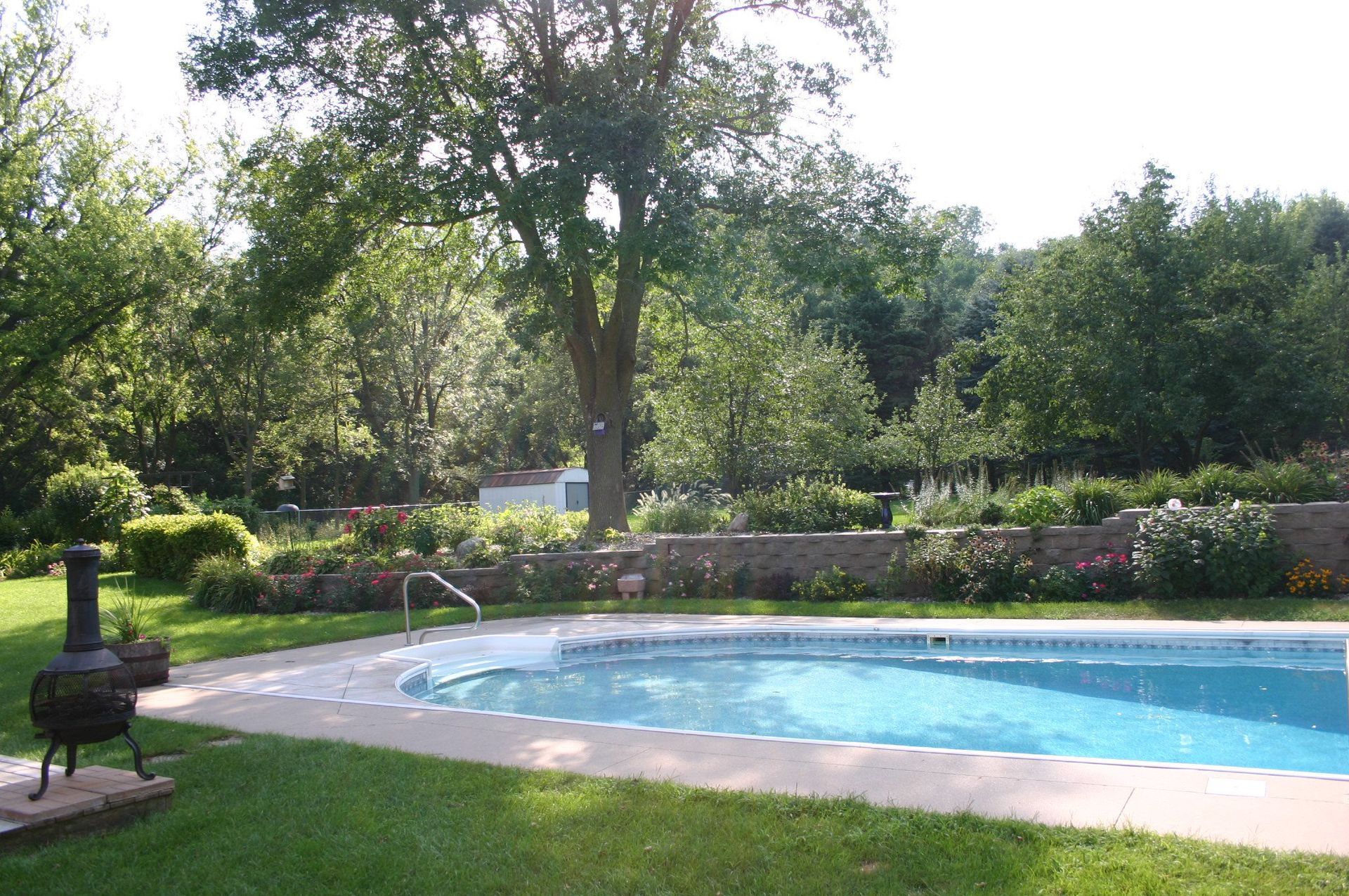 Backyard swimming pool surrounded by lush green trees and lawn in bright sunlight