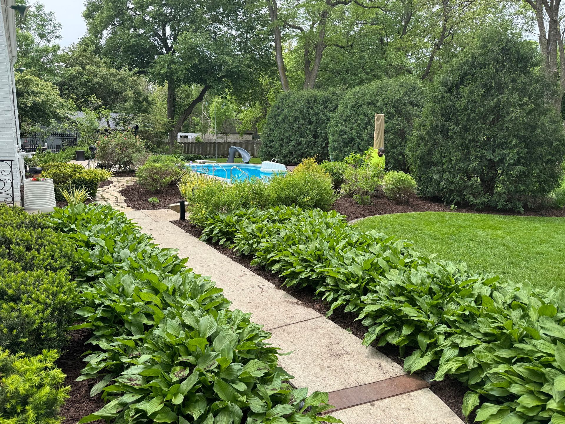 Garden path between lush green beds leading to a blue pool and trees