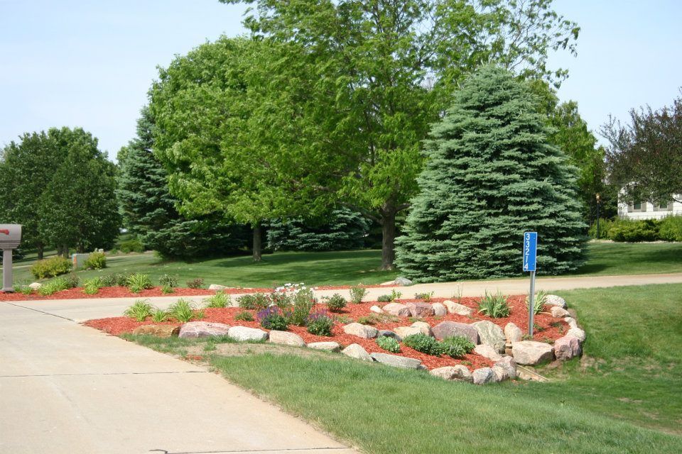 Landscaped flower bed with red blooms, rocks, and trees beside a sidewalk and driveway