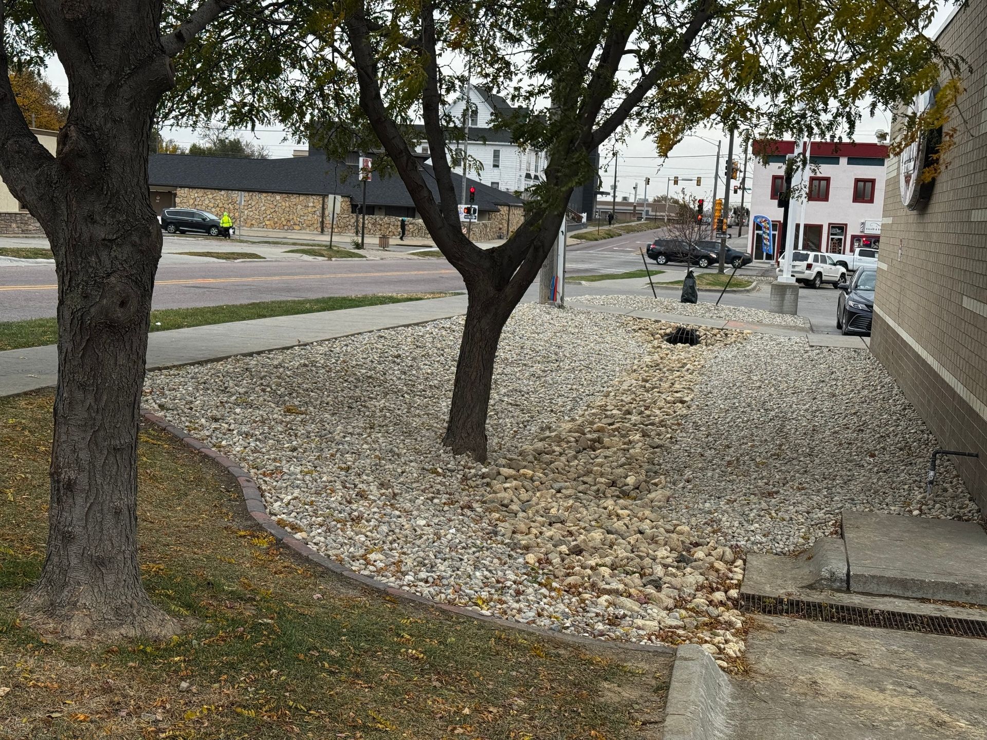 Rock garden with trees beside a sidewalk and street, with a small black cat near the curb