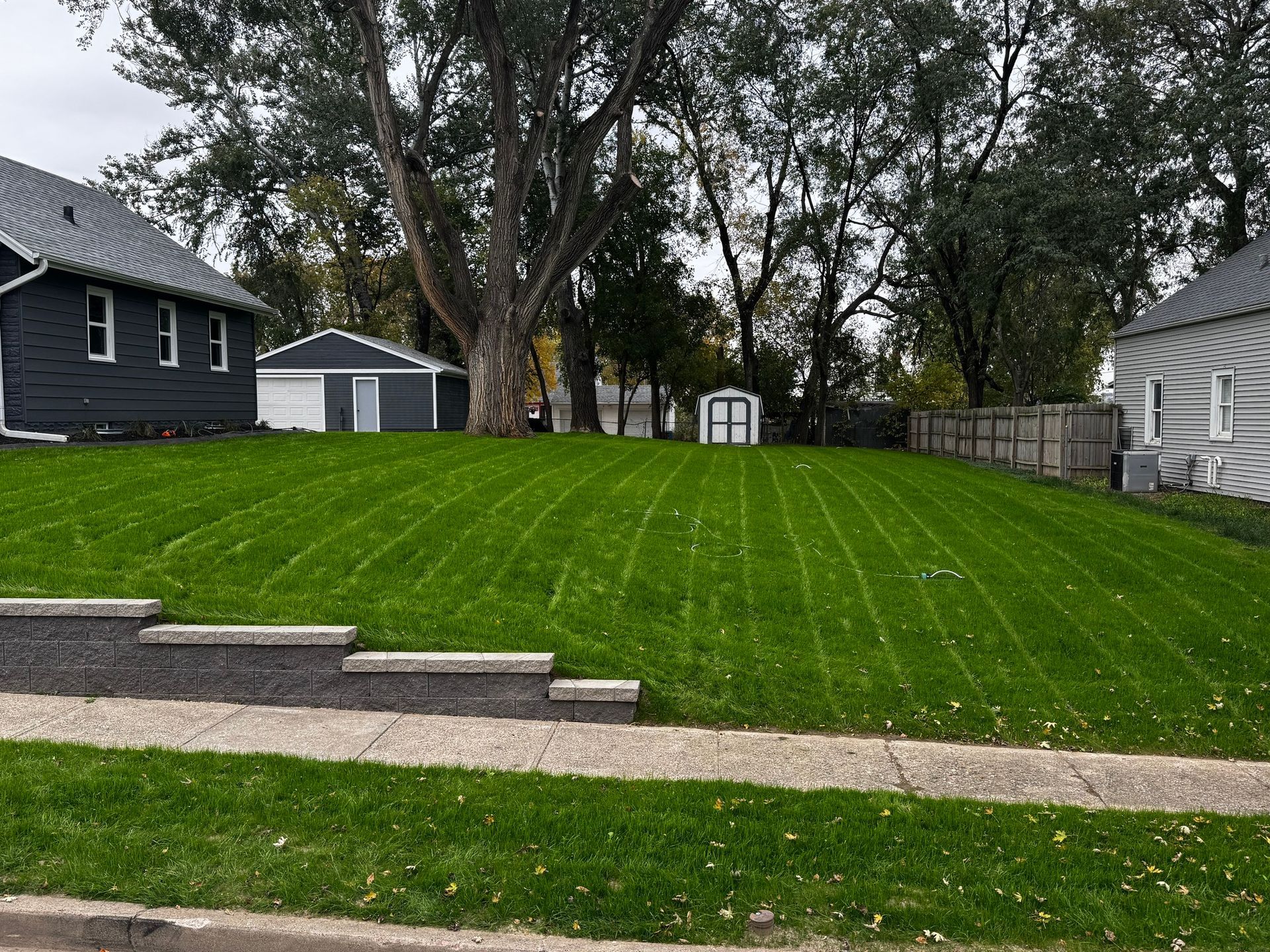Freshly sodded green front yard with a gravel path, stone steps, trees, and houses on either side