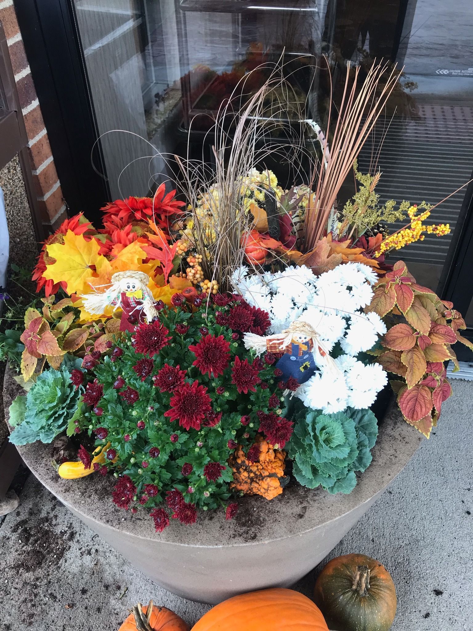 Colorful fall flower arrangement in a large planter by a window, with pumpkins on the ground nearby