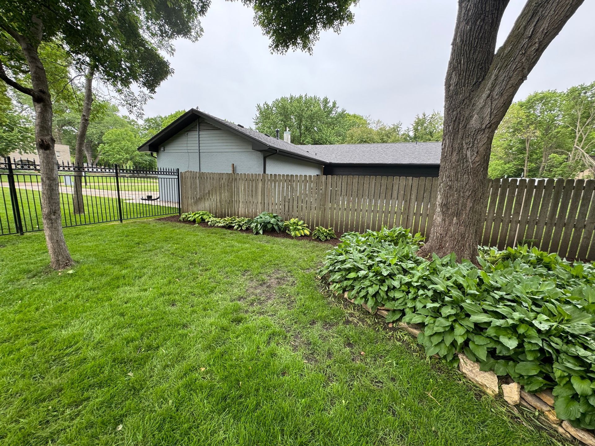 Grassy backyard with trees, a wooden fence, and a small shed under a cloudy sky