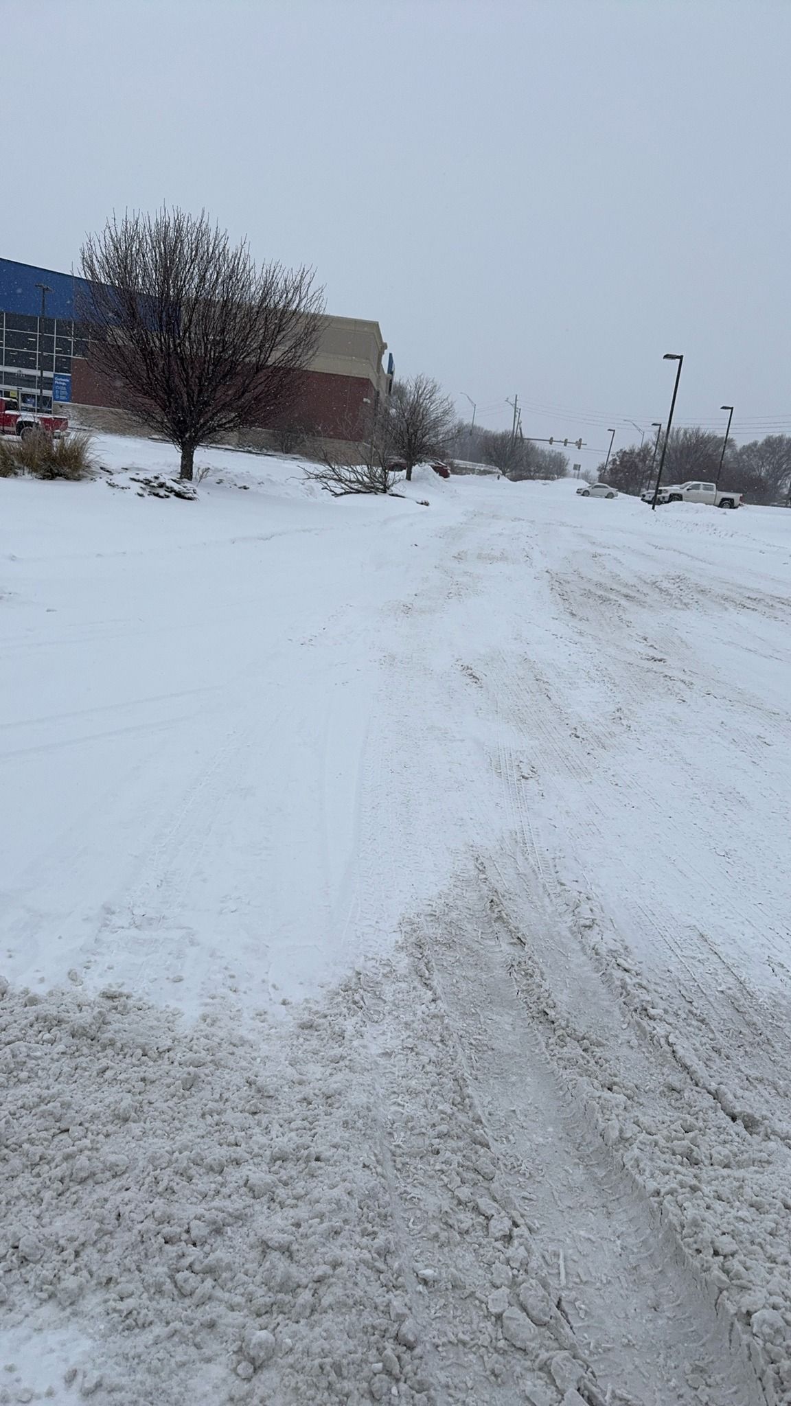 Snow-covered road beside a building and bare trees on a cloudy winter day