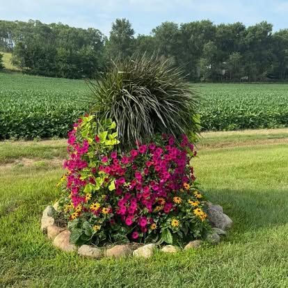 Colorful flower planter with pink, yellow, and purple blooms beside a grassy field and trees