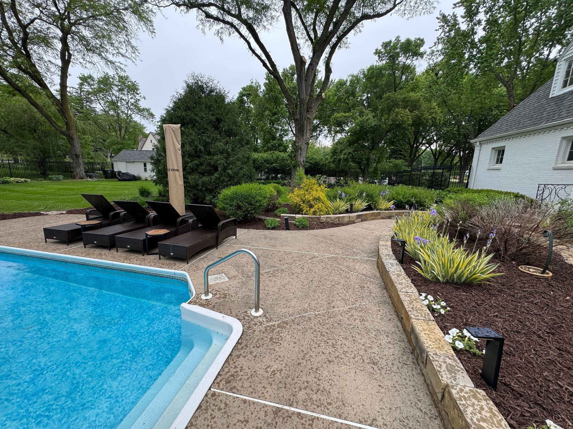 Backyard pool with curved stone walkway, lounge chairs, trees, and a white house in the background