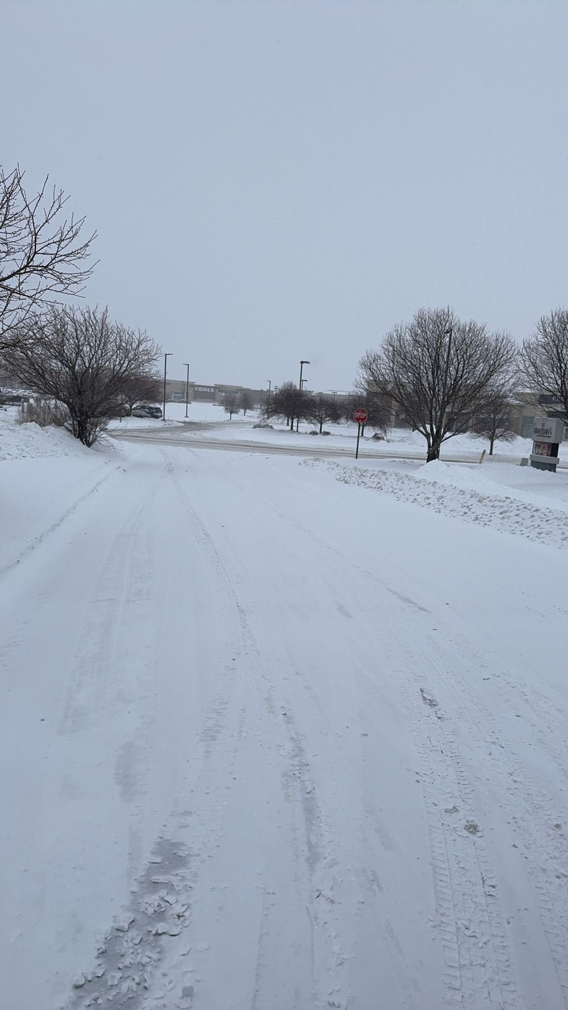 Snow-covered rural road lined with trees under a gray winter sky