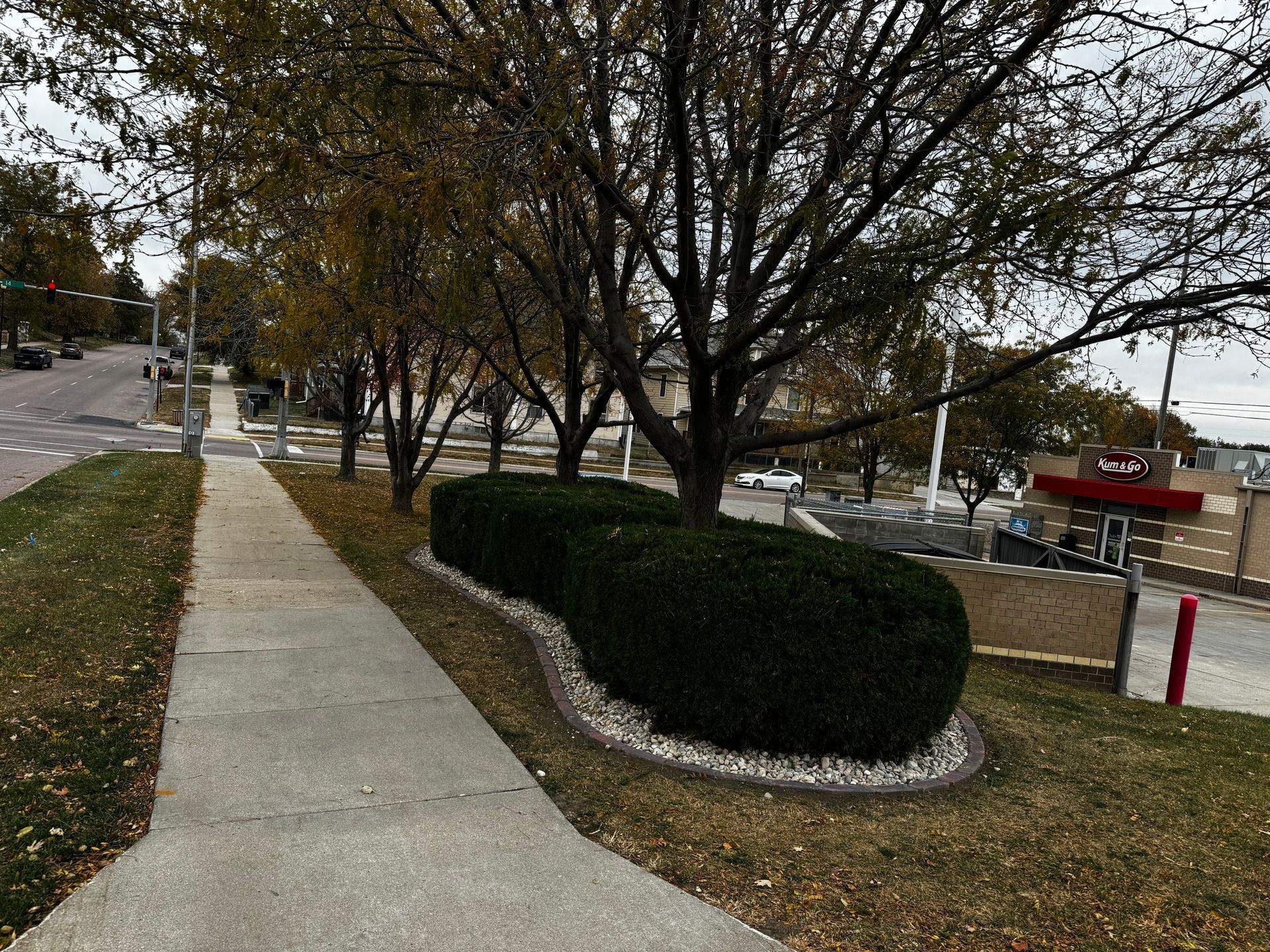 Sidewalk along a tree-lined street beside trimmed hedges and a grassy verge on an overcast day