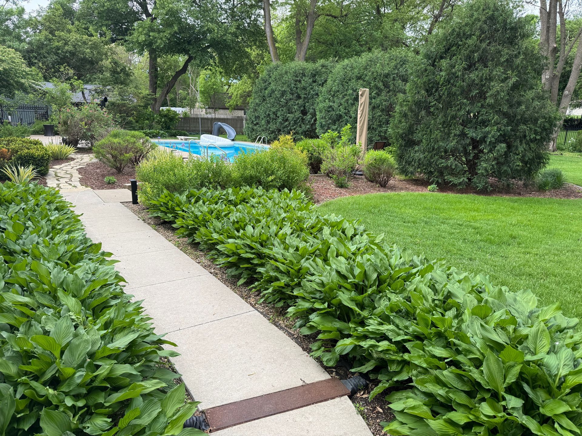Garden path leading through lush green shrubs toward a blue pool and trees