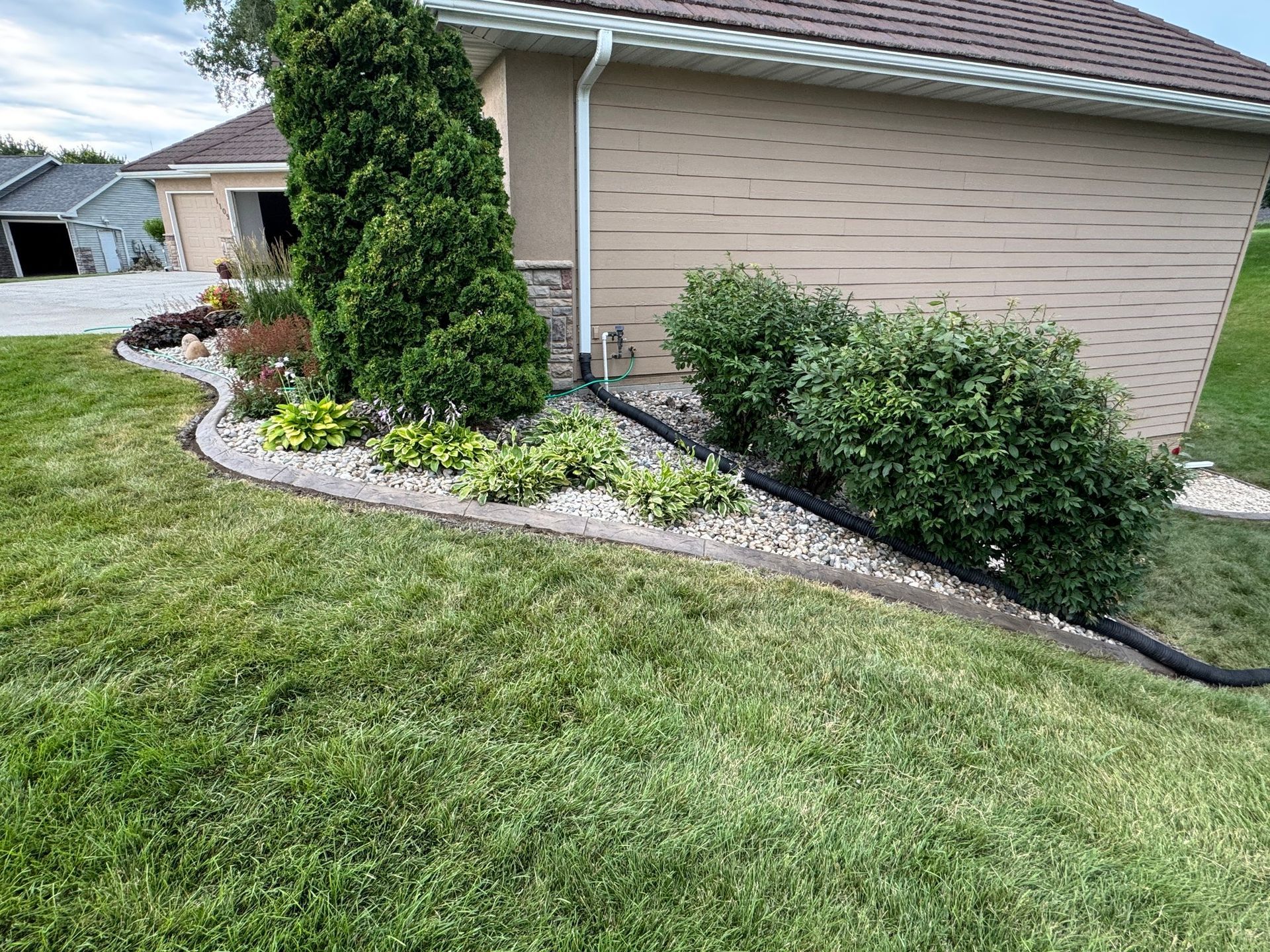 Landscaped house corner with shrubs, mulch border, and lawn beside beige siding.