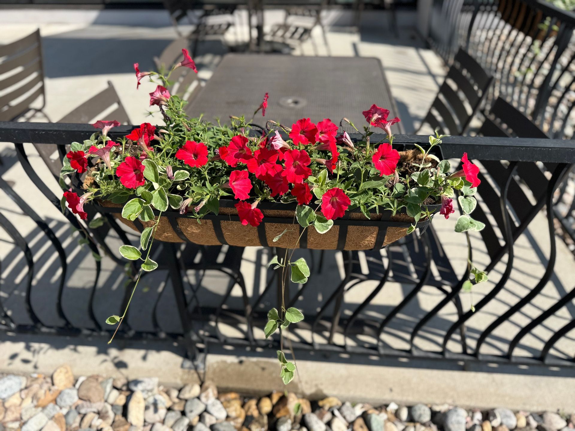 Red flowers in a window box on a black metal railing beside an outdoor patio table and chairs