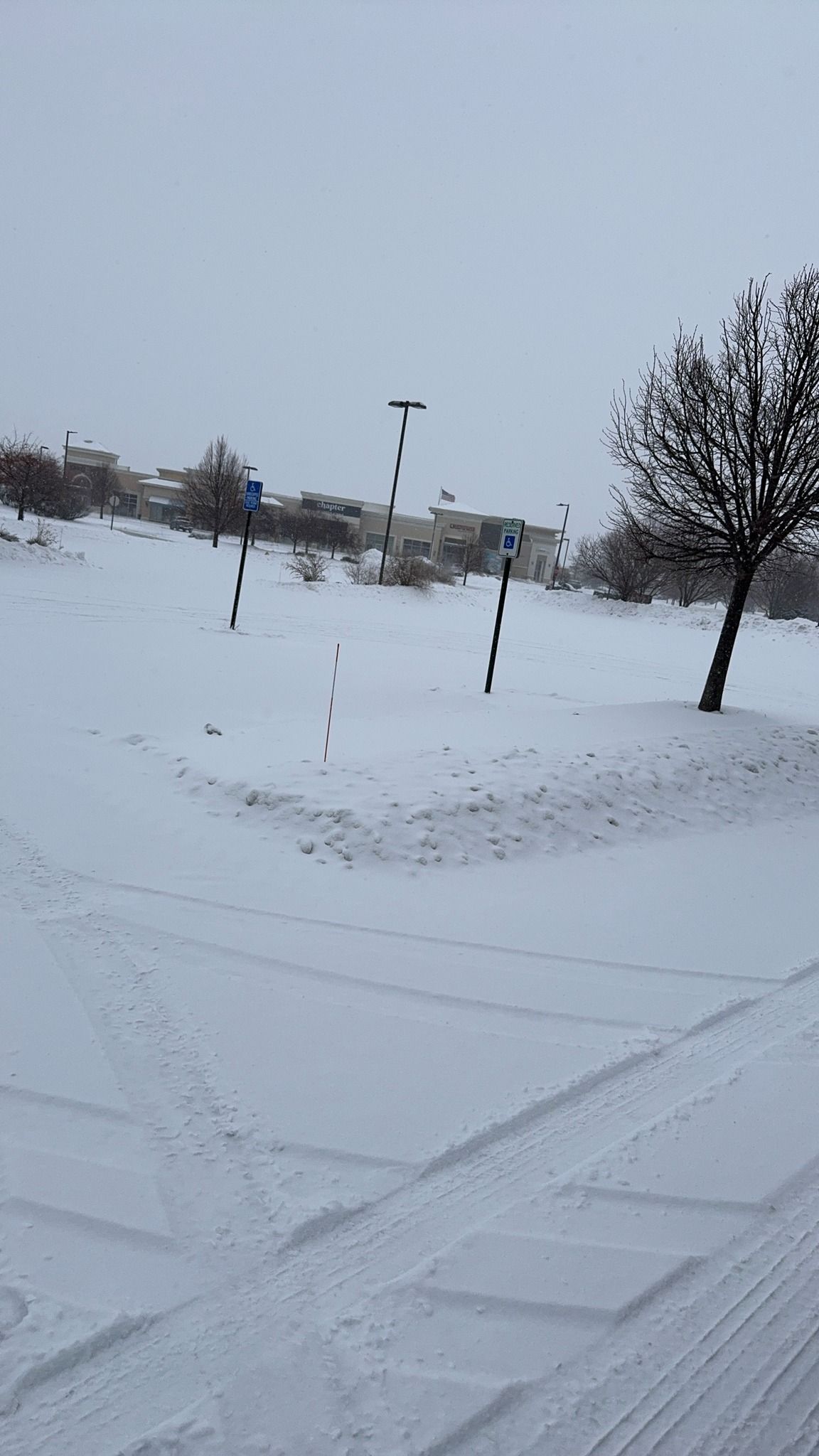 Snow-covered road and sidewalk with tire tracks, lampposts, and trees under an overcast sky.