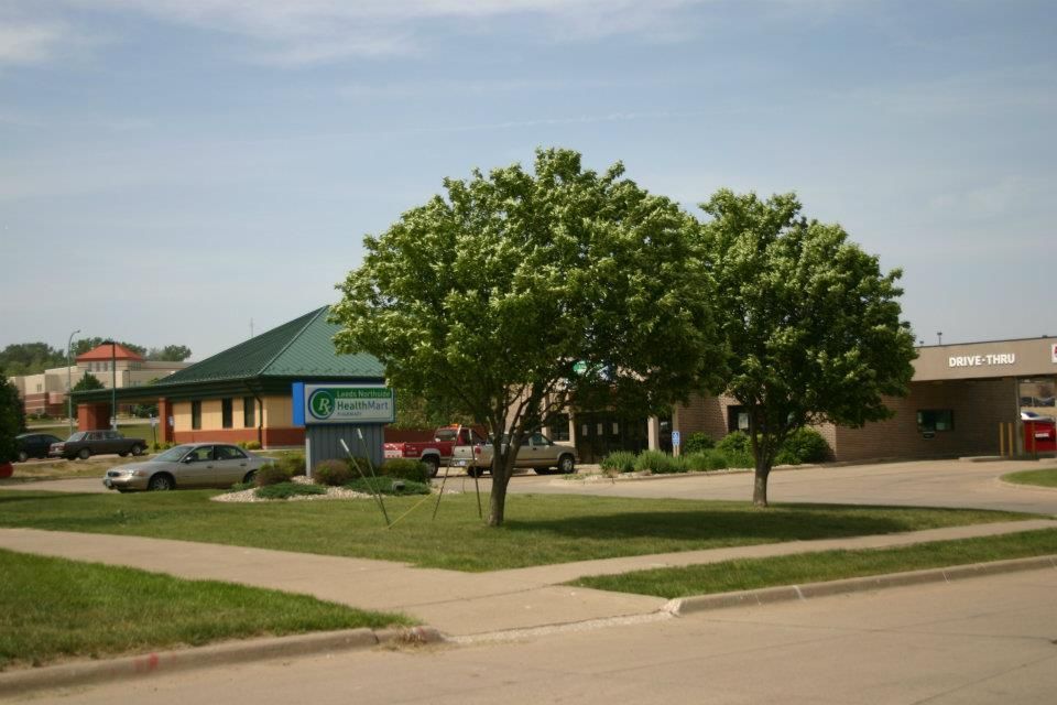 Street view of a low-rise storefront with a green-roofed building, trees, and parked cars on a sunny day