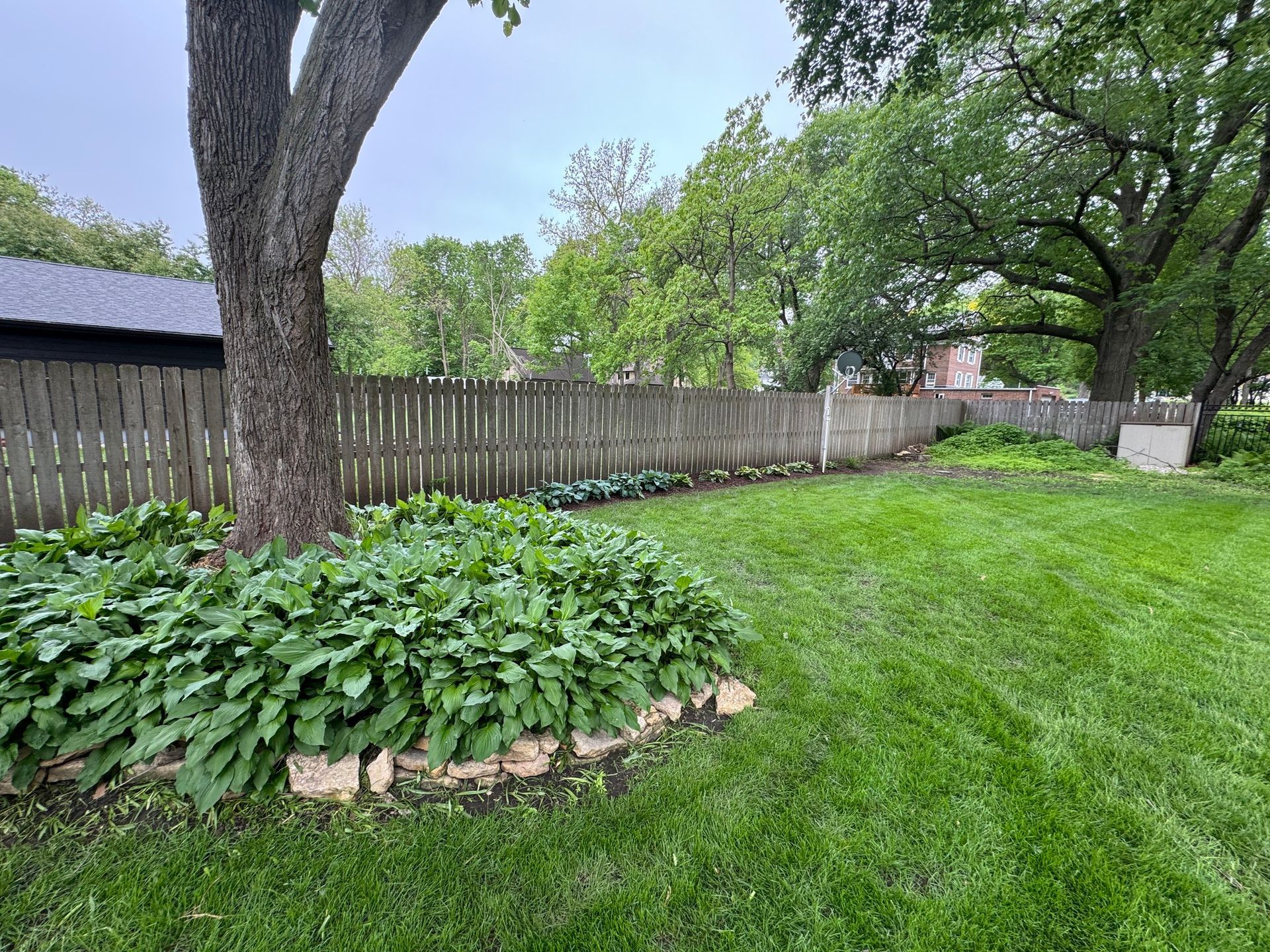 Backyard with green lawn, large tree, flower bed, and wooden fence under a cloudy sky
