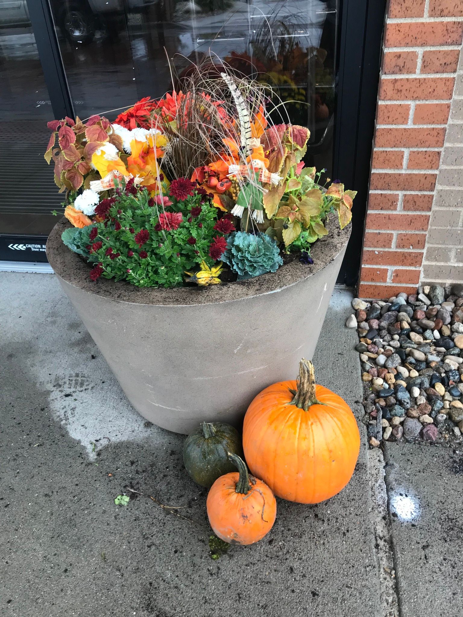 Autumn planter with colorful flowers and grasses beside two pumpkins on a sidewalk near a brick wall