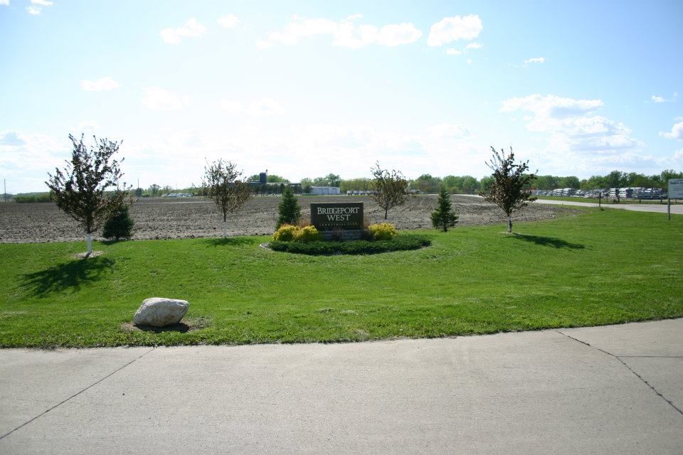 Grassy roadside memorial with a central sign, small flowers, and young trees under a blue sky