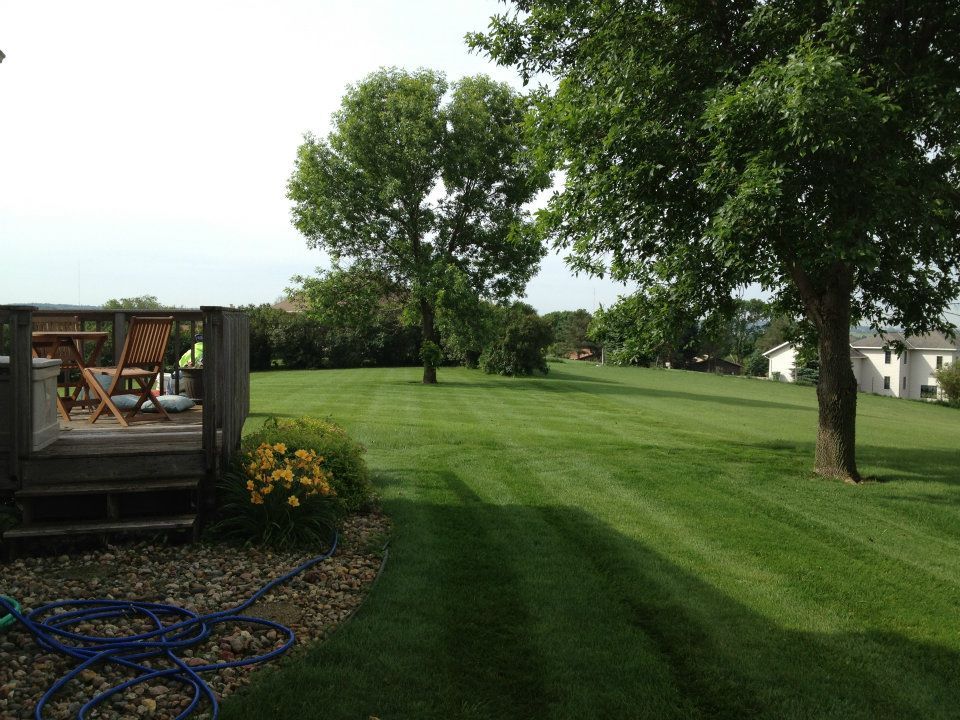 Backyard lawn with trees, deck, and garden hose under a cloudy sky