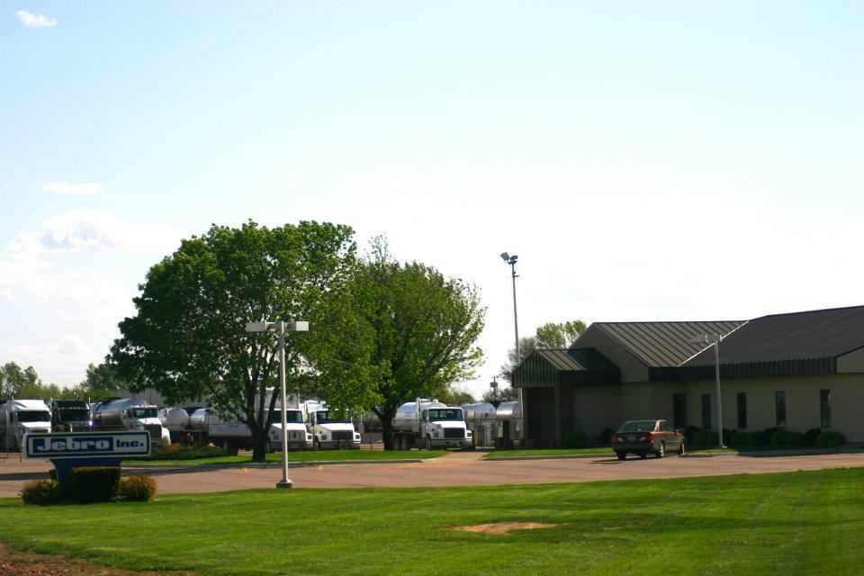 Grassy park with a large tree, parked vehicles, and a low building under a bright sky