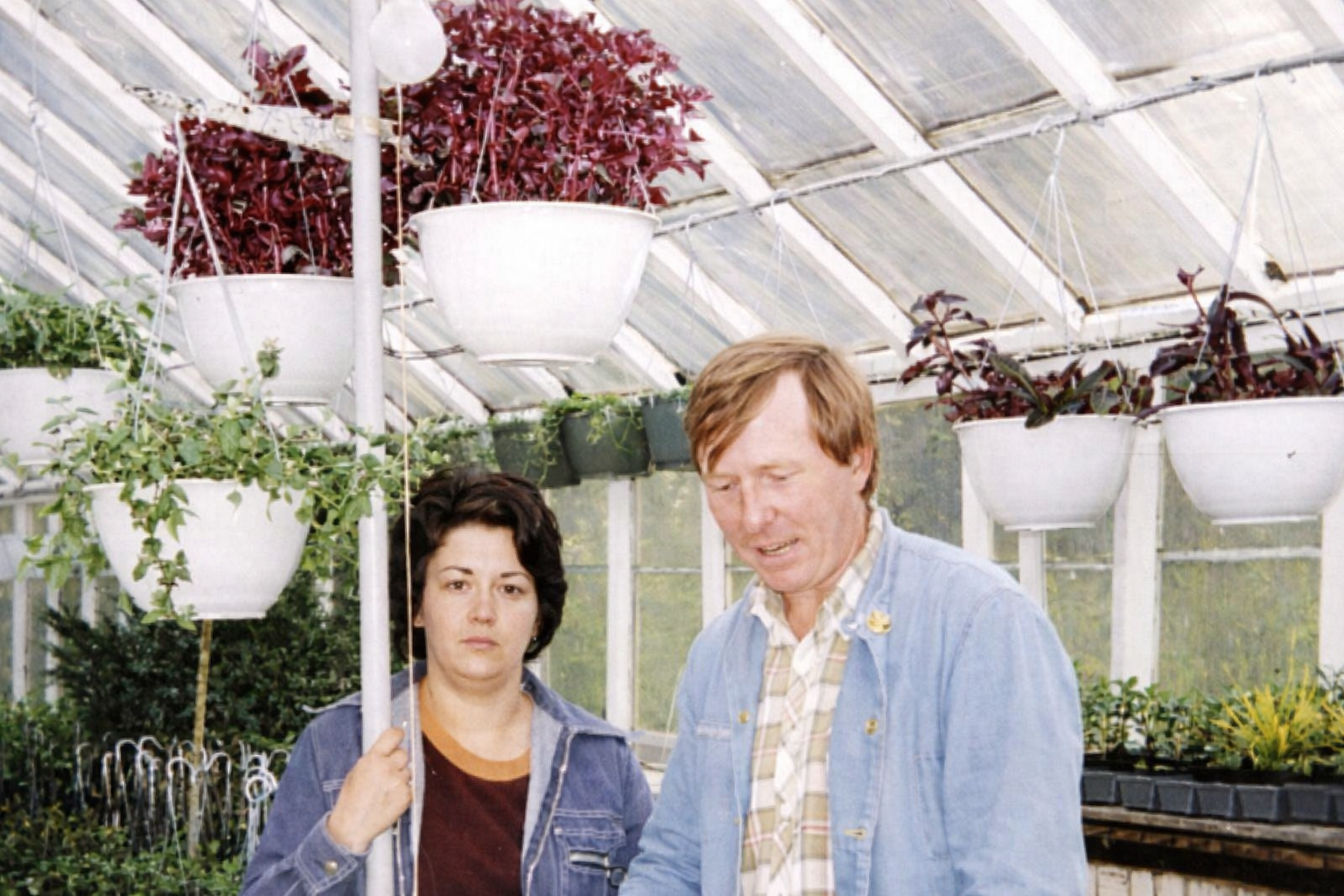 Two people standing in a greenhouse with hanging white planters and rows of plants.