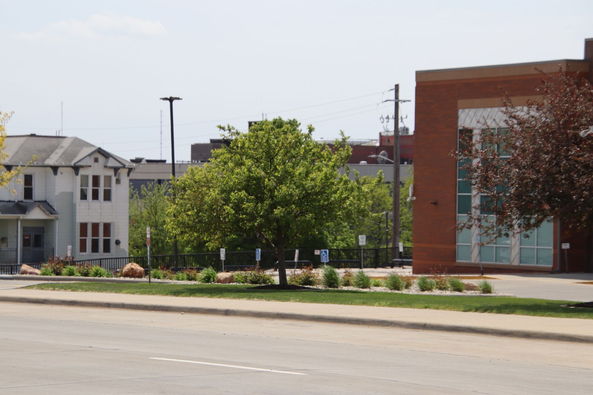Urban street with a brick building, leafy tree, and neighboring houses under a clear sky