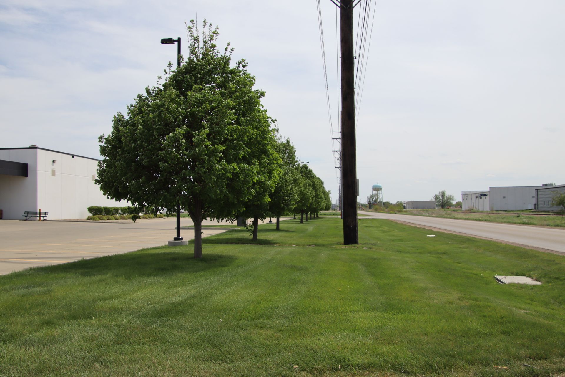 Grassy roadside with young trees, a utility pole, and industrial buildings under a cloudy sky
