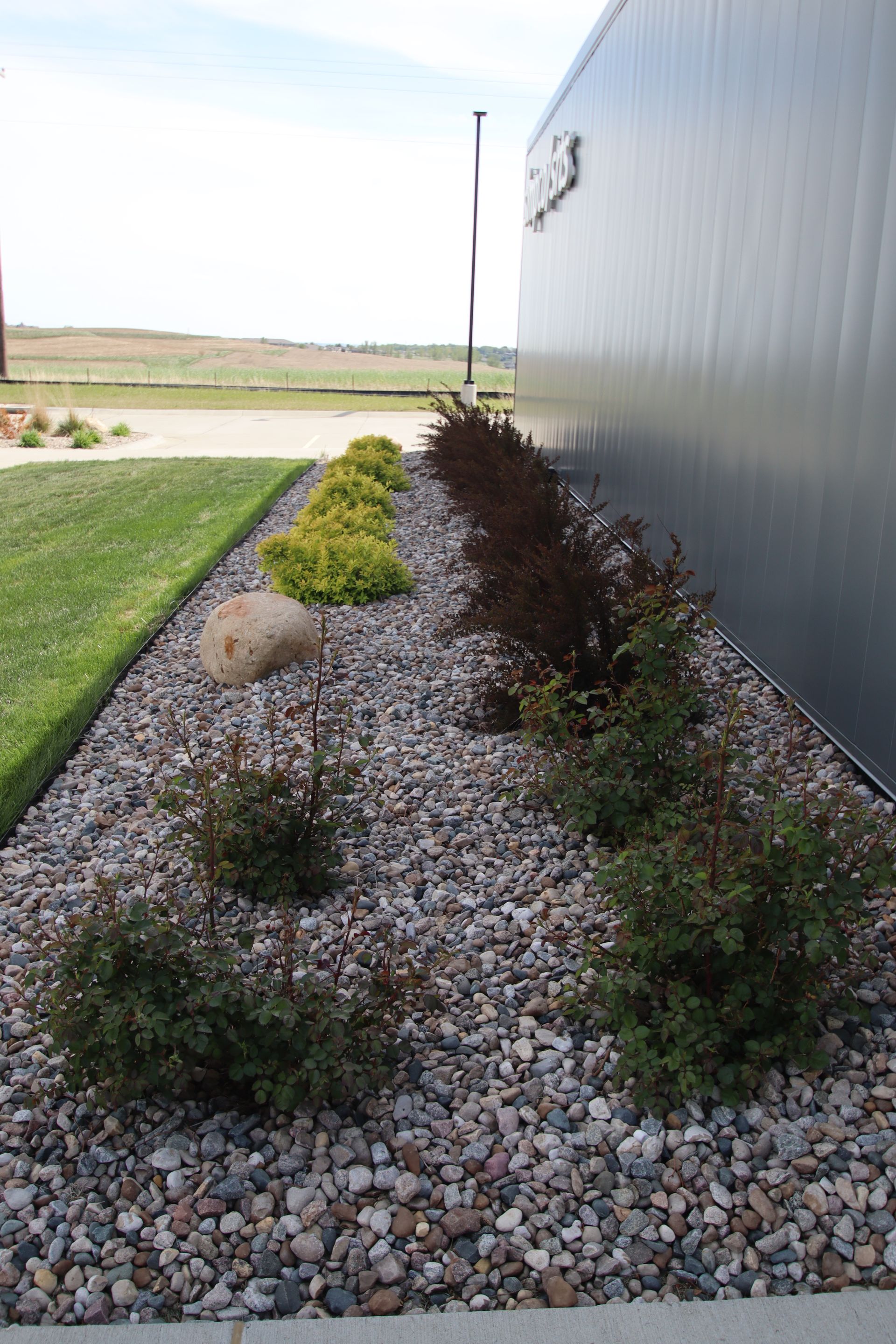 Landscaped gravel bed with shrubs beside a metal building, next to a grassy lawn and open field.