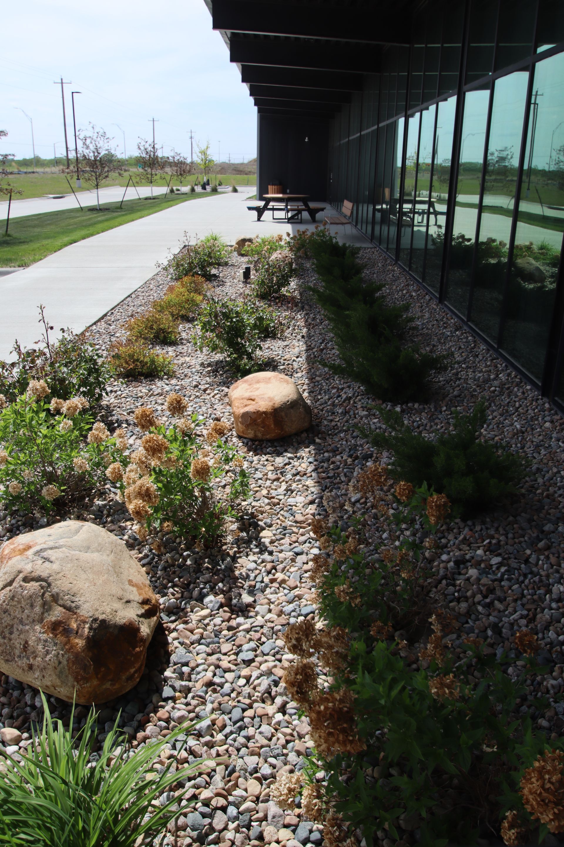 Rock garden with shrubs and boulders beside a glass building and walkway