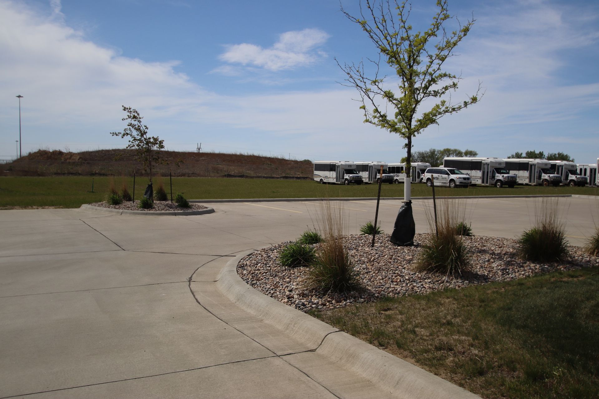 Curved concrete sidewalk beside a landscaped parking lot with a small tree and parked vehicles under a blue sky
