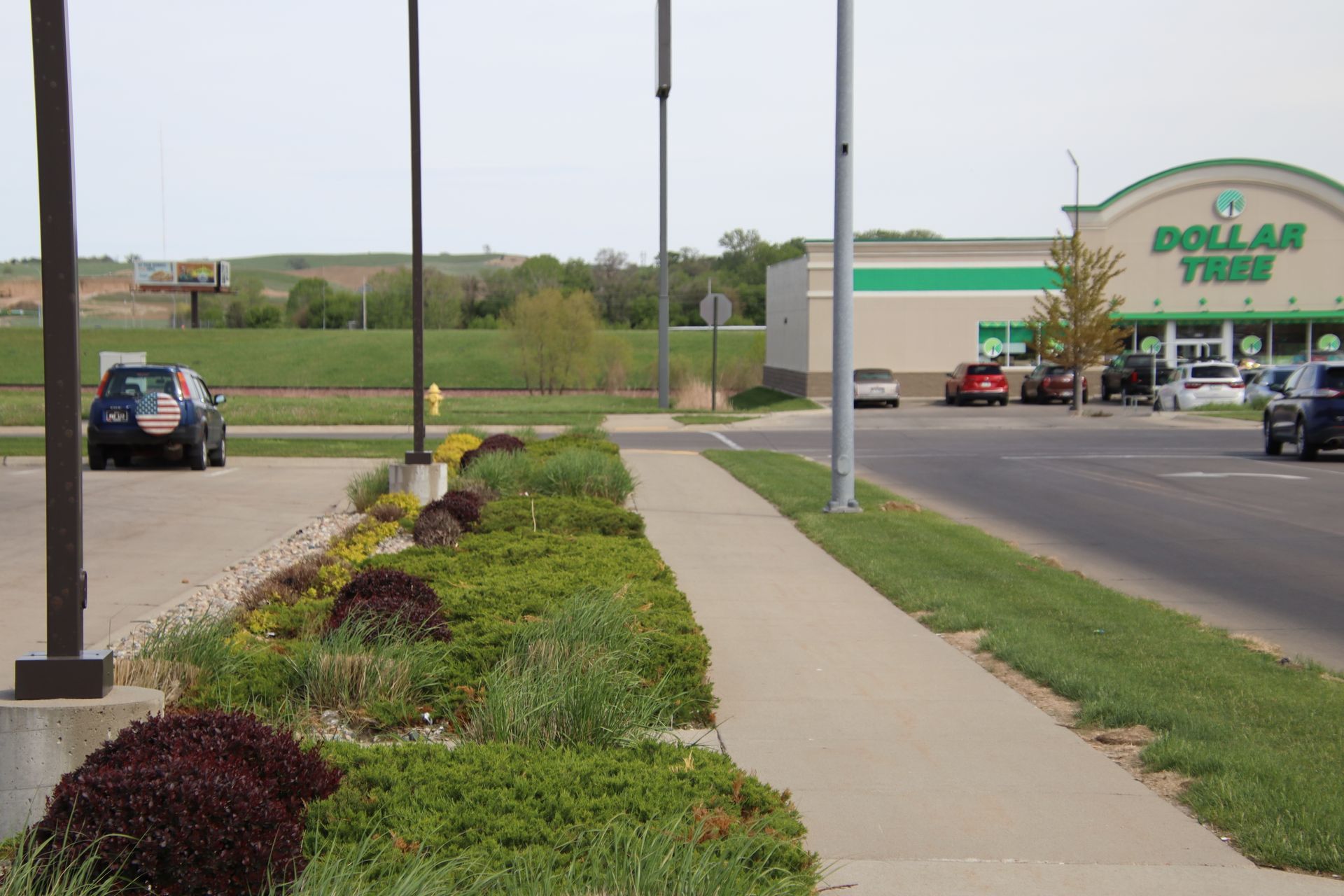 Sidewalk and landscaped curb outside a Dollar Tree store with parked vehicles and open parking lot