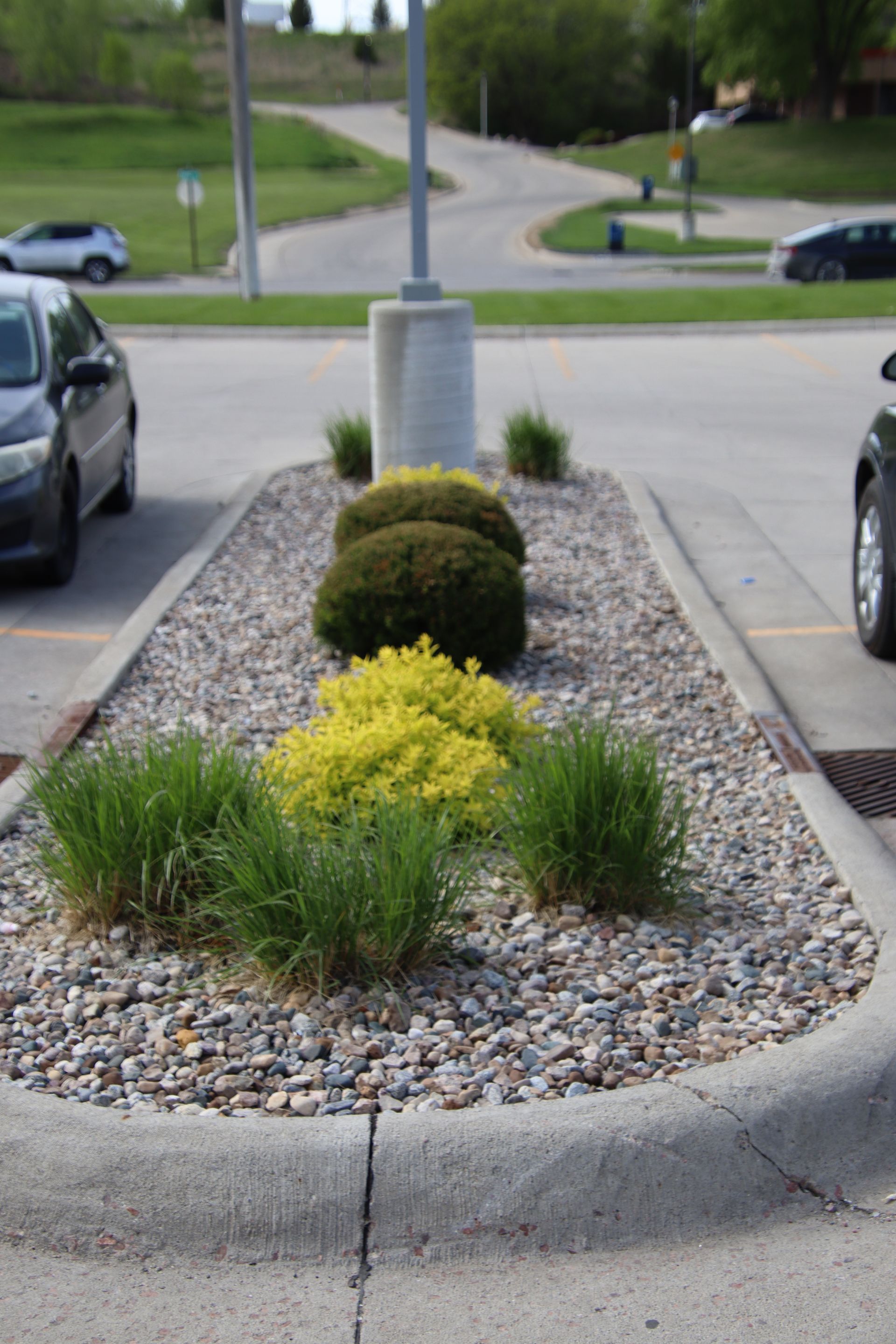 Landscaped median with rocks, shrubs, and ornamental grasses beside a road and parking lot