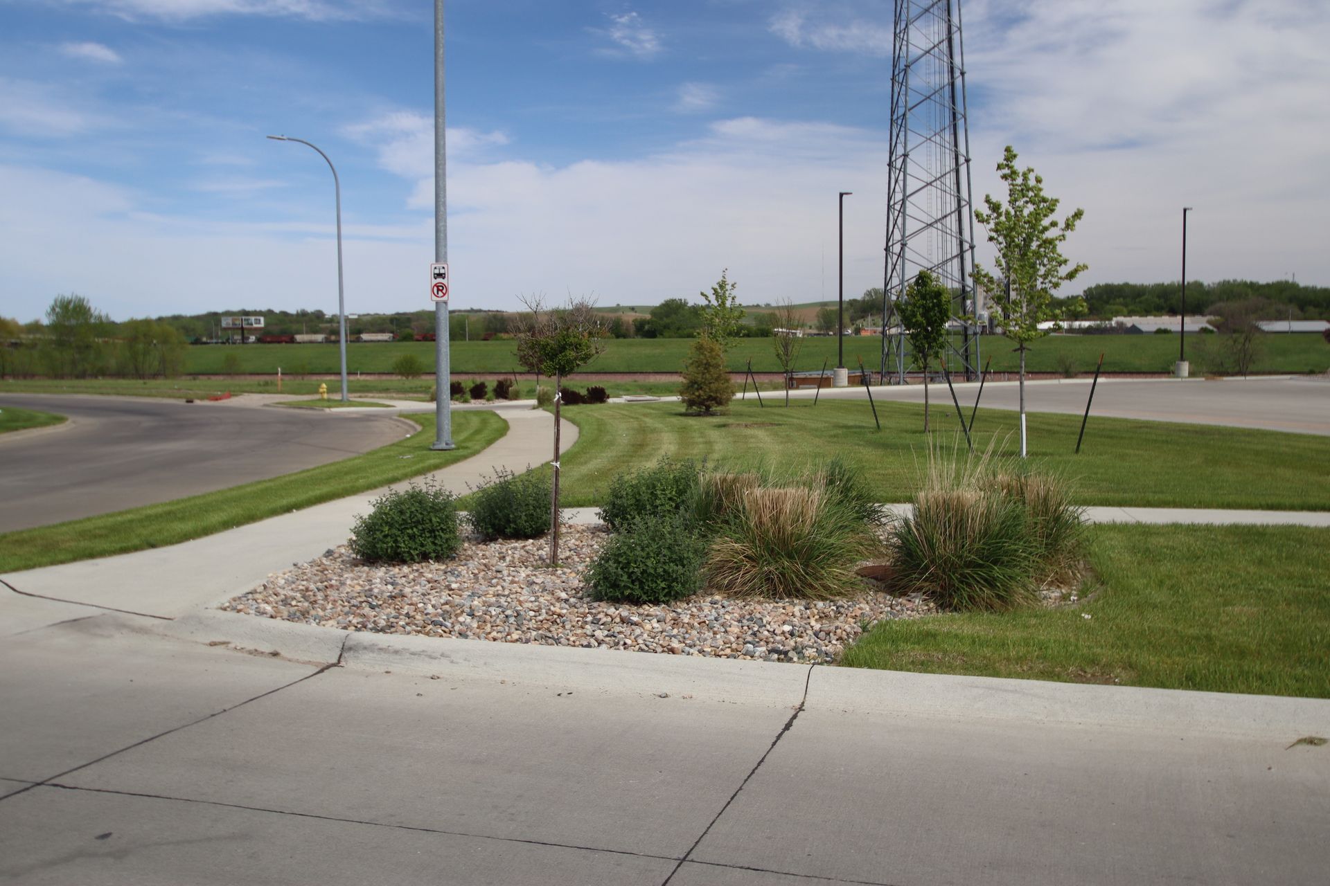 Empty suburban sidewalk beside a road, with a small landscaped planter and young trees under a clear sky