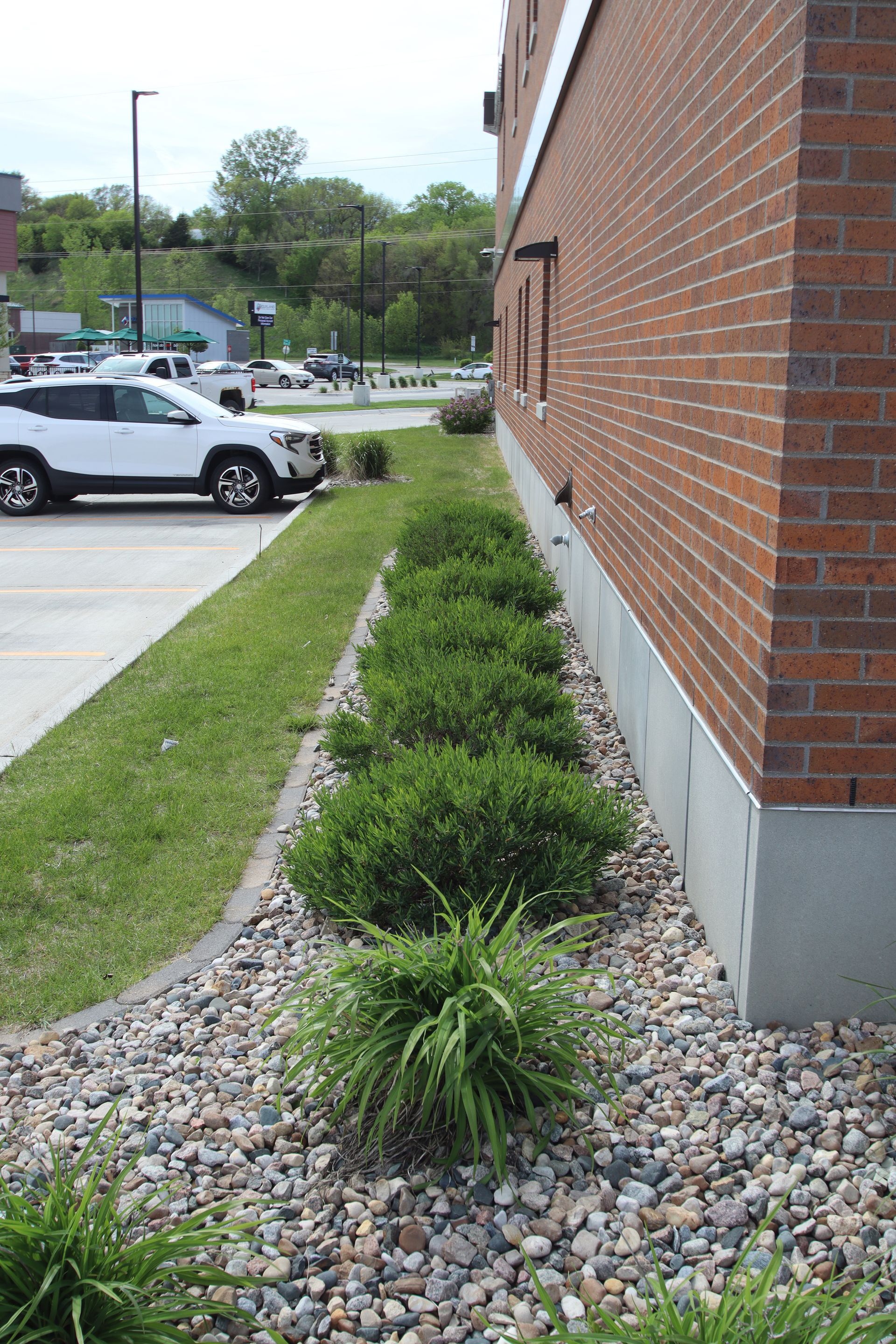 Brick building with a narrow landscaped strip of green shrubs and gravel along the side walk.