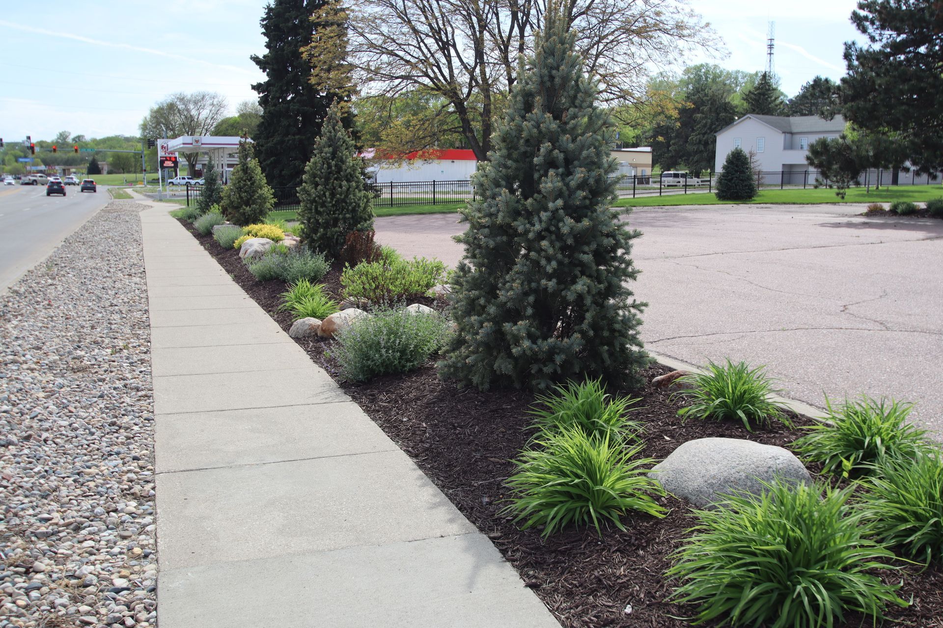 Landscaped sidewalk beside a road with shrubs, trees, and rocks on a cloudy day