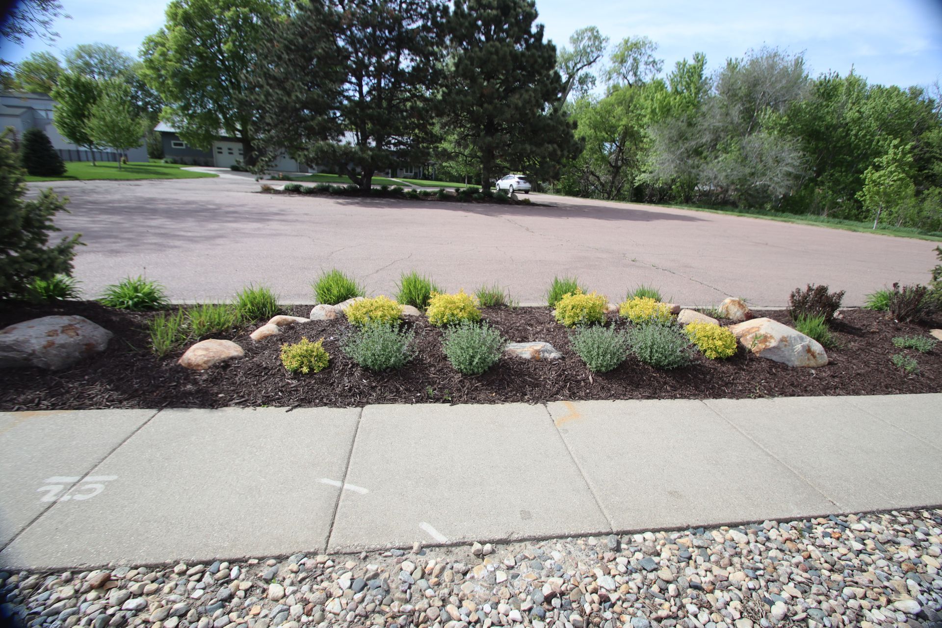 Landscaped flower bed with yellow blooms along a sidewalk beside an empty parking lot