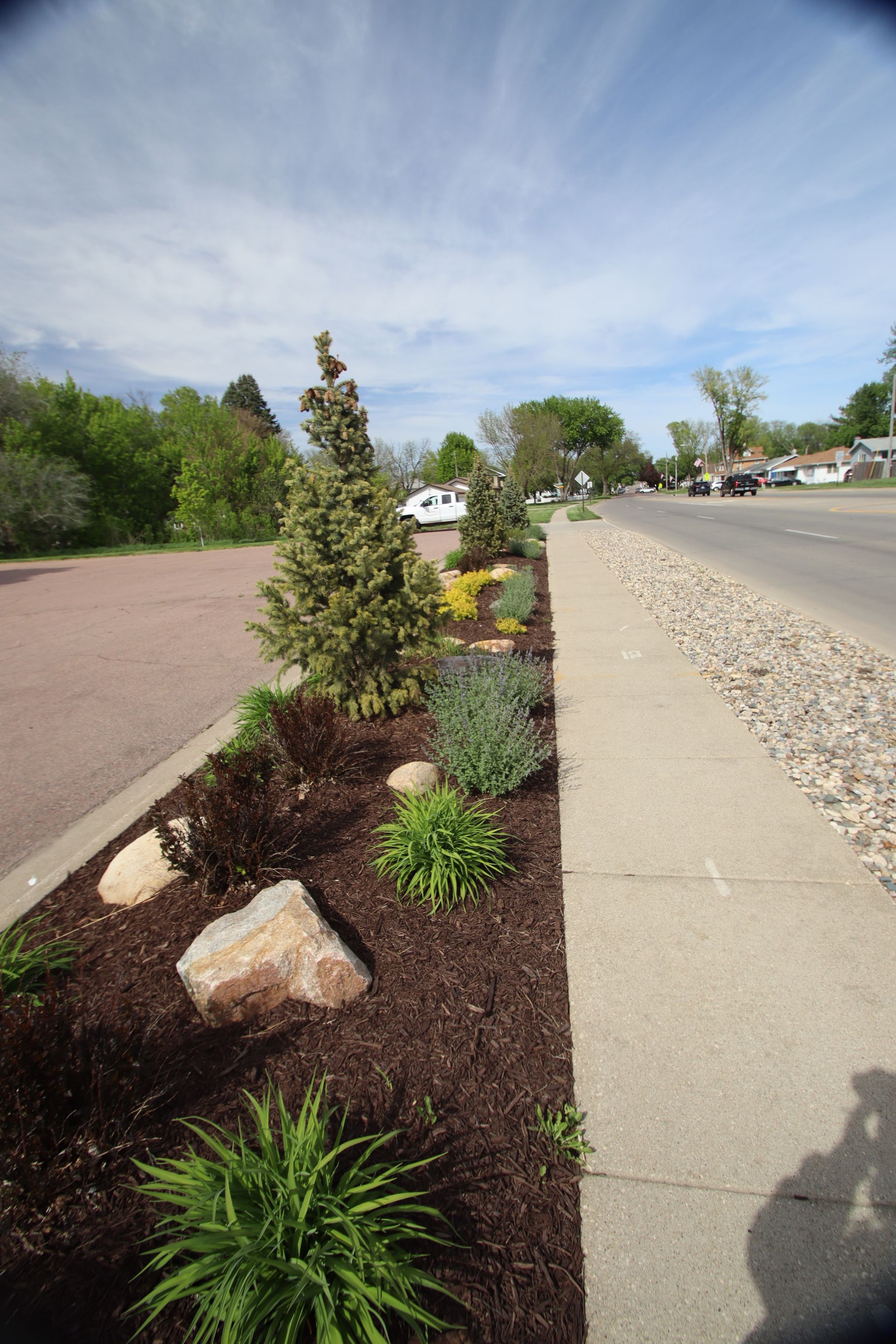 Landscaped roadside median with shrubs and rocks beside a sidewalk and street under a blue sky