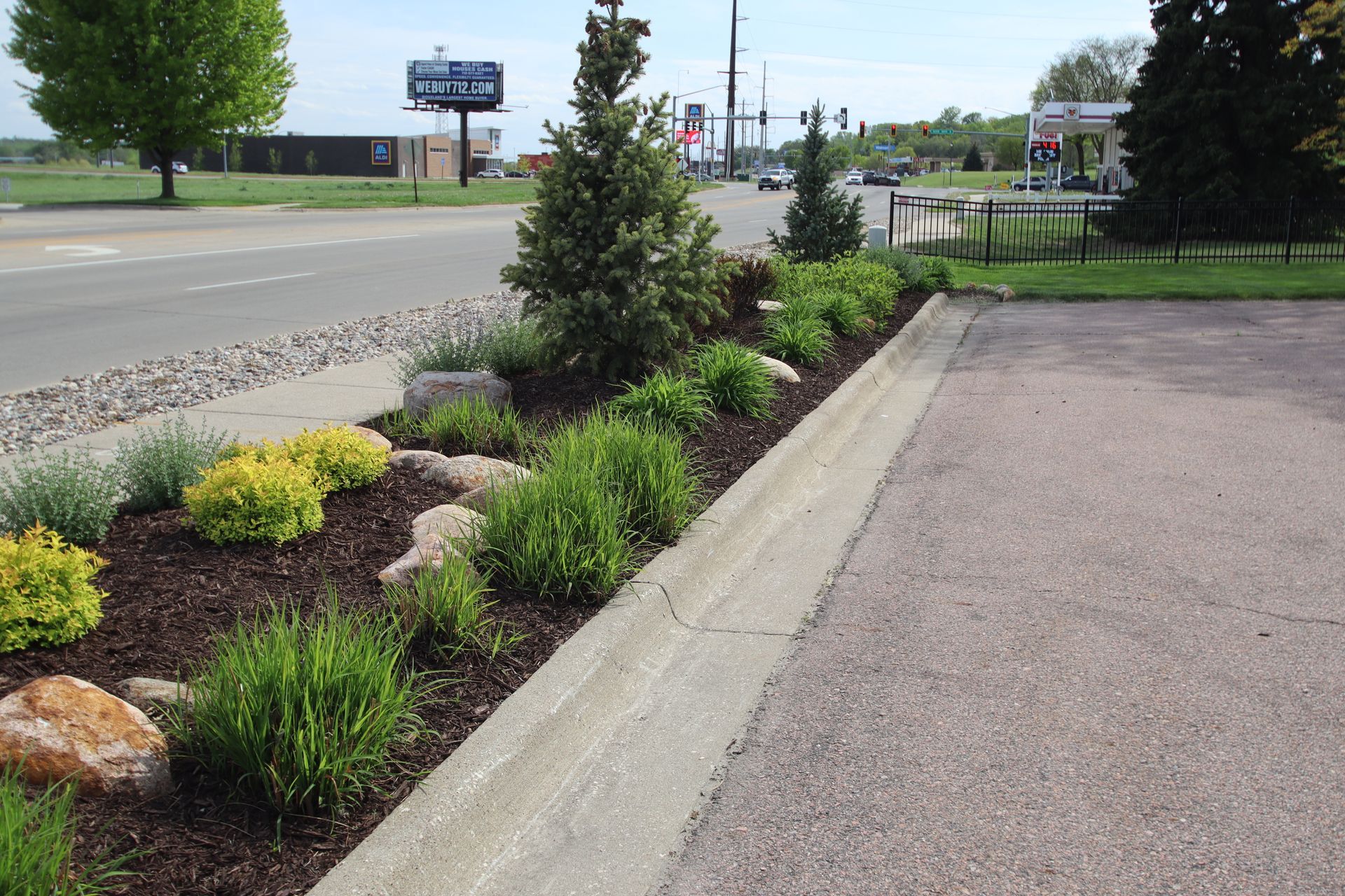 Landscaped roadside bed with shrubs and flowers beside a paved parking area.