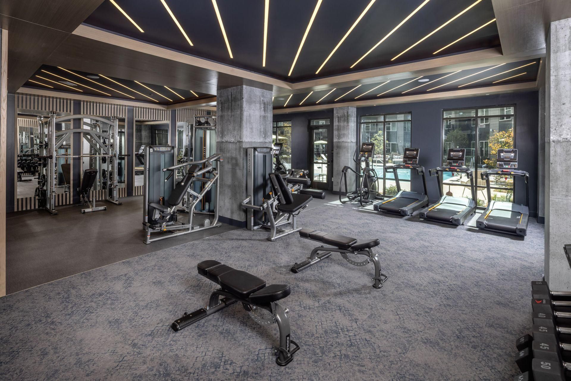 Modern gym interior with exercise machines, benches, and mirrored walls under linear ceiling lights