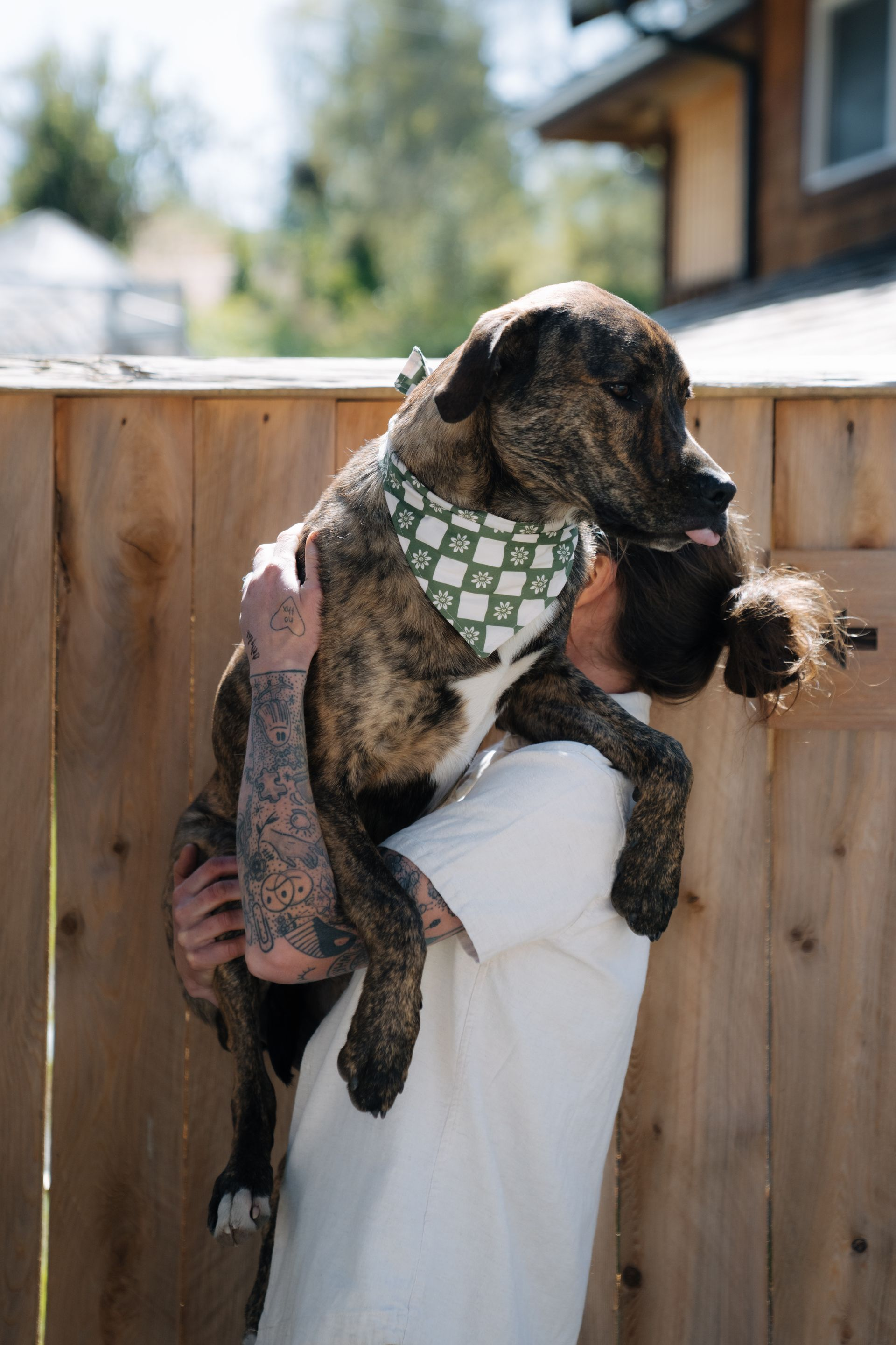 A person with tattooed arms holds a brindle dog wearing a green and white patterned bandana in front of a wood fence.