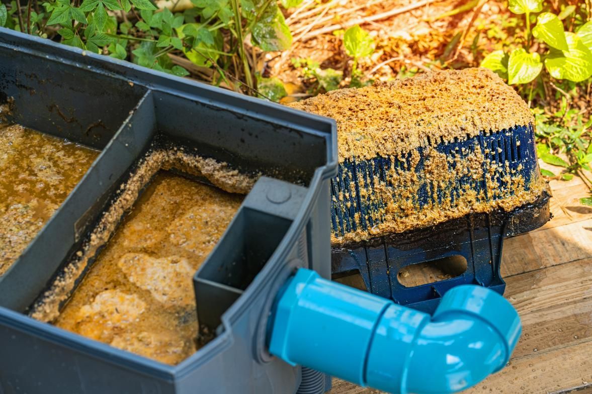 Outdoor pond filter with blue pipe and black tank beside a mossy filtration sponge