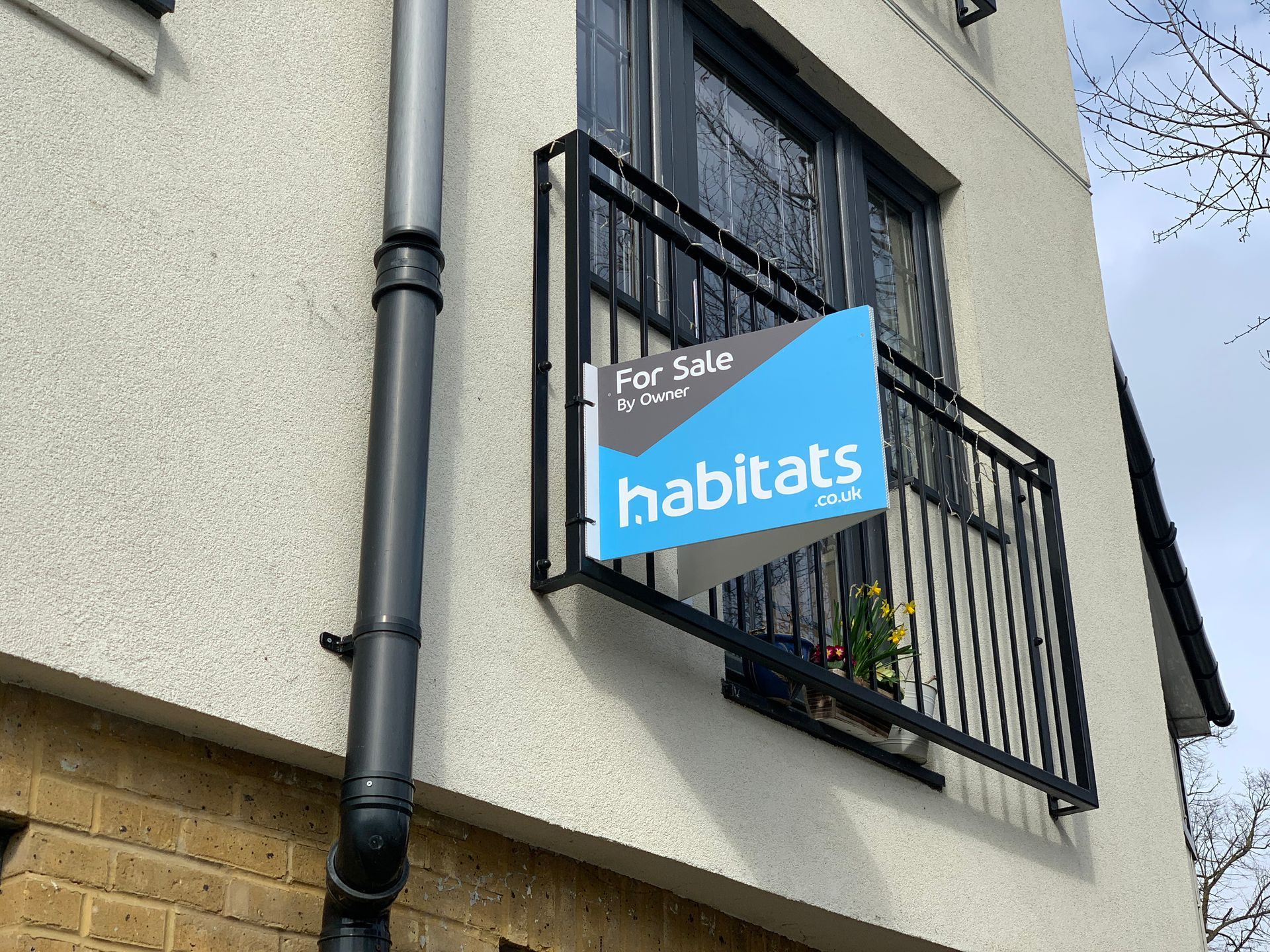 Estate agent Corex v-boards