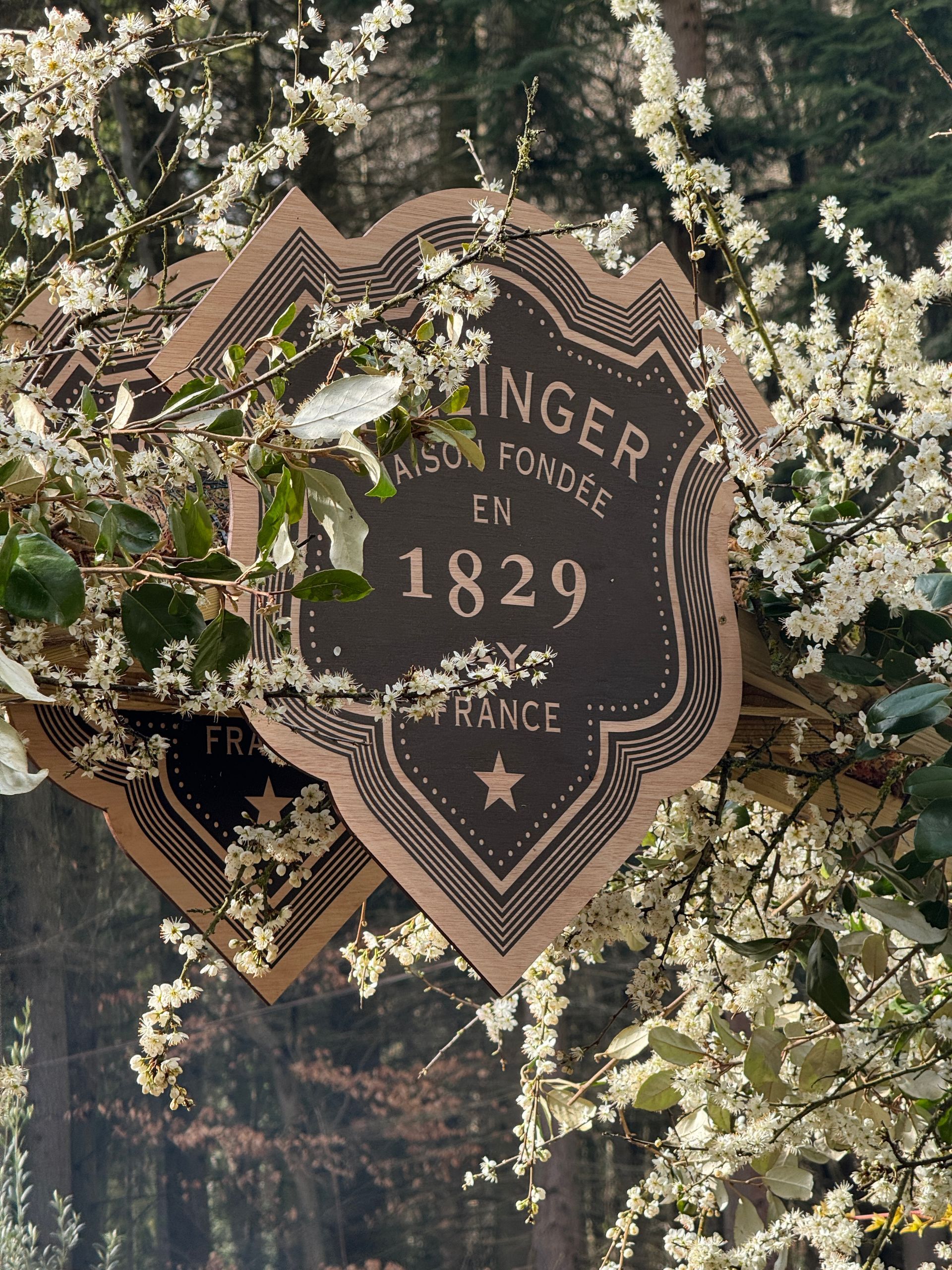 Cut to shape wooden laser etched brand sign for Bollinger