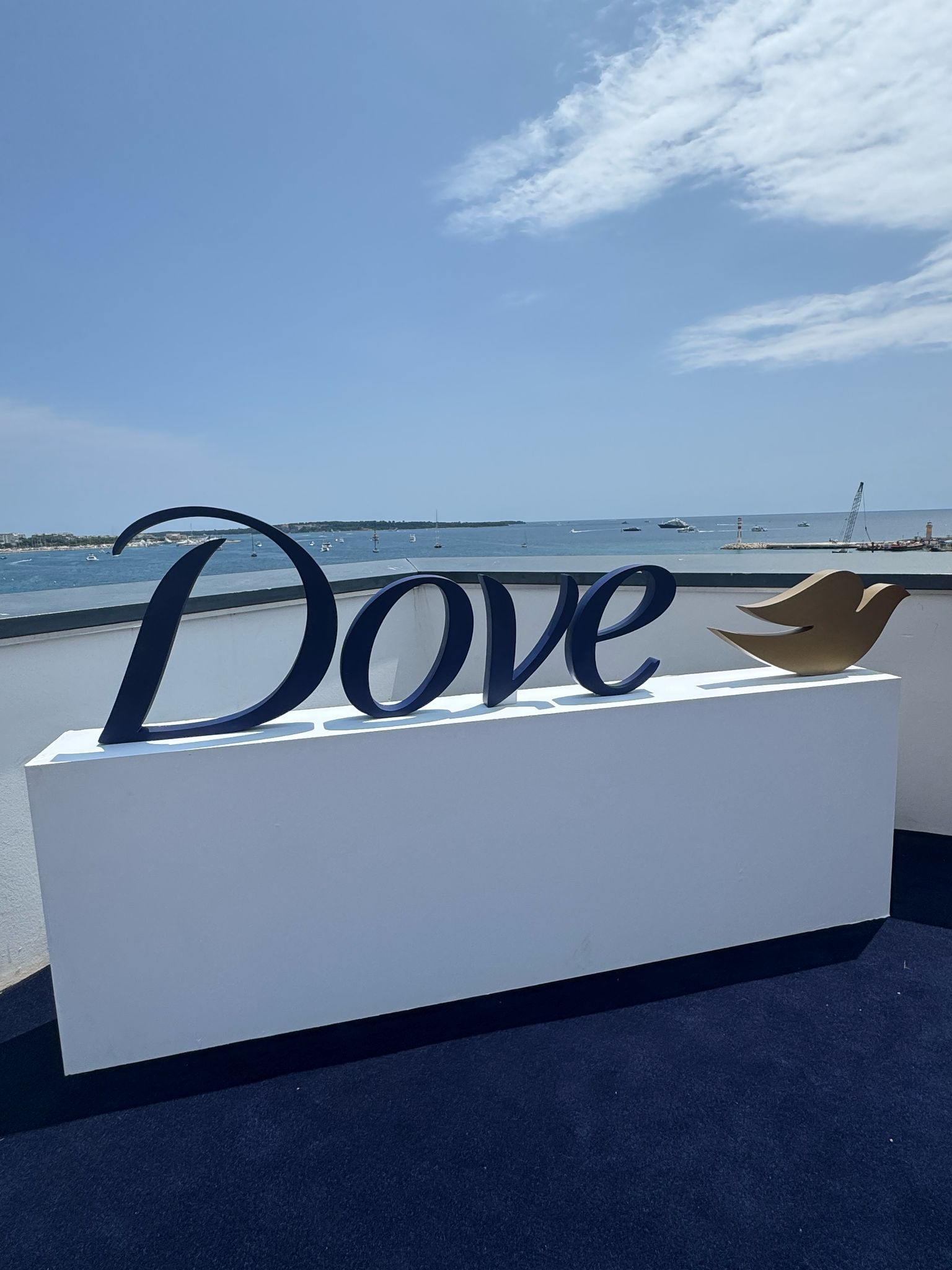 Manufactured Dove brand plinth with cut out logo