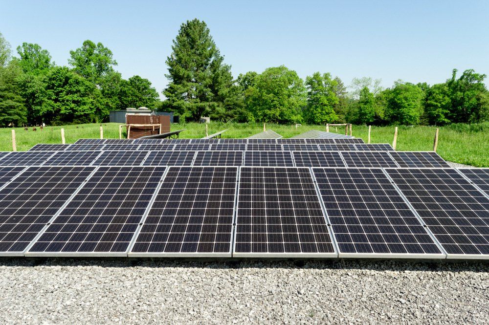 A Large Group of Solar Panels — SOLARCO Central West in Forbes, NSW