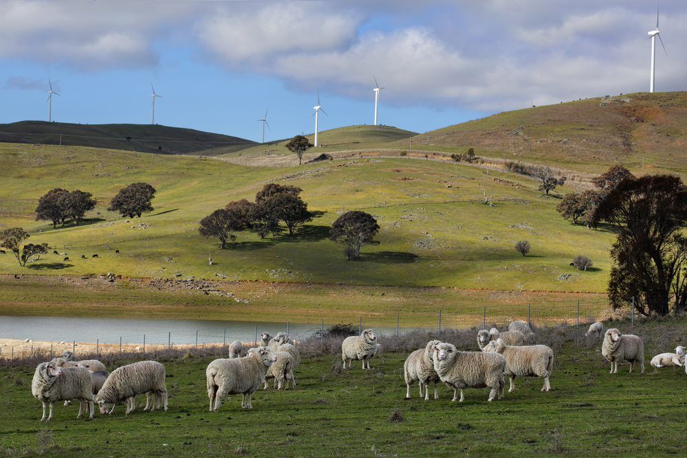 Blayney — SOLARCO Central West in Blayney, NSW