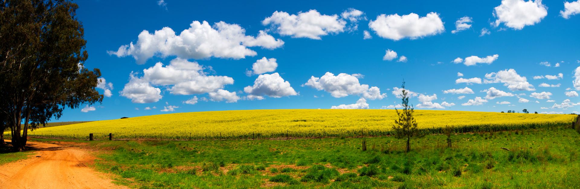 Molong — SOLARCO Central West in Parkes, NSW
