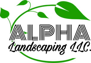 ALPHA Landscaping LLC of Middletown NJ with green leaves and black stylized text on a white background