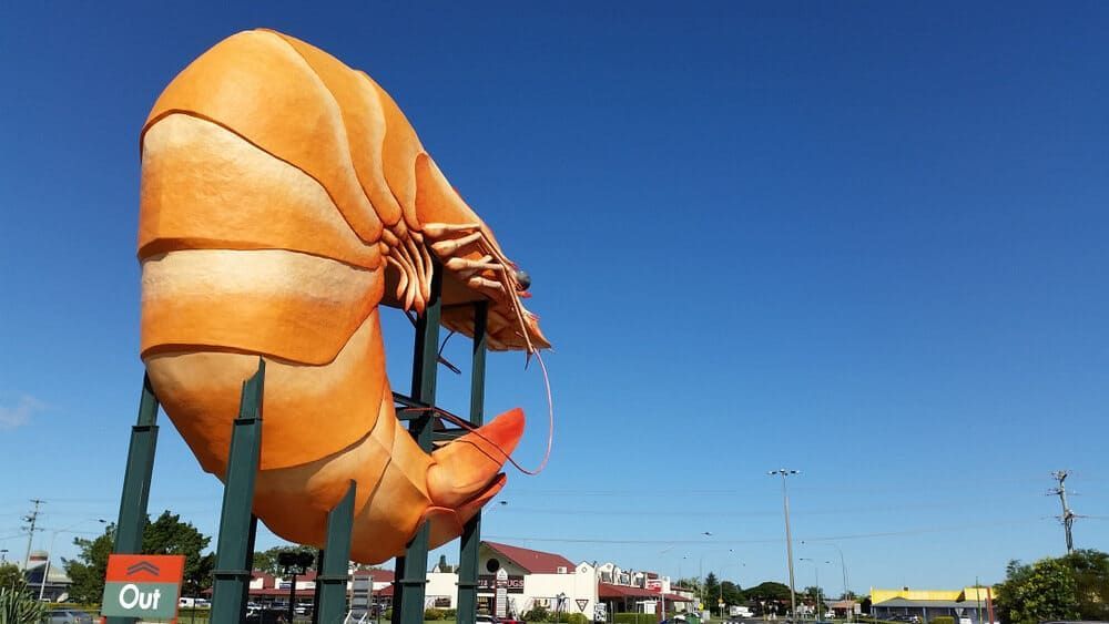 A Large Statue Of A Shrimp With A Sign That Says Out — Ballina Painting Service In Ballina, NSW