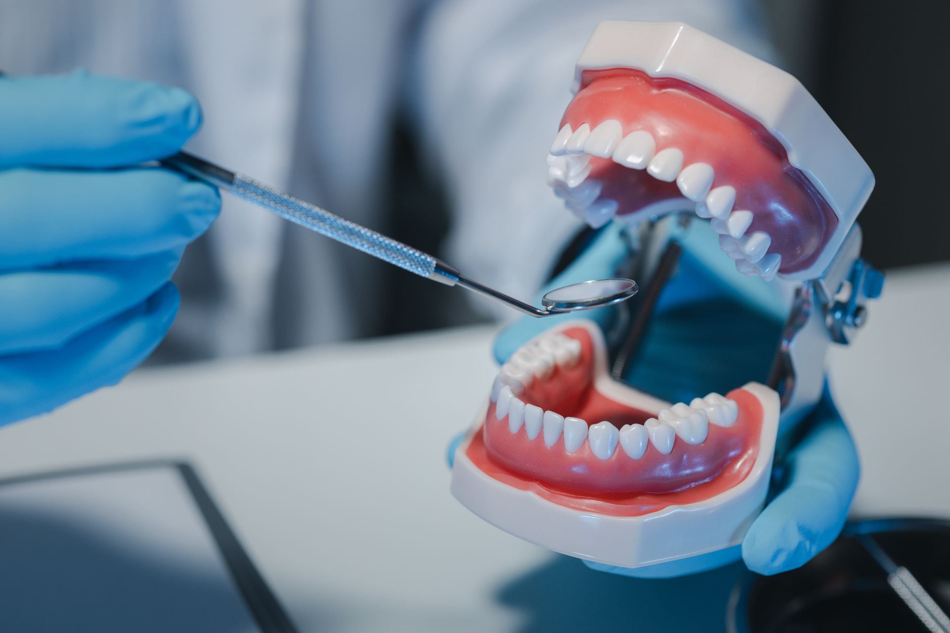 Un dentista, con indosso guanti blu, esamina un modello di mandibola aperta con strumenti odontoiatrici.